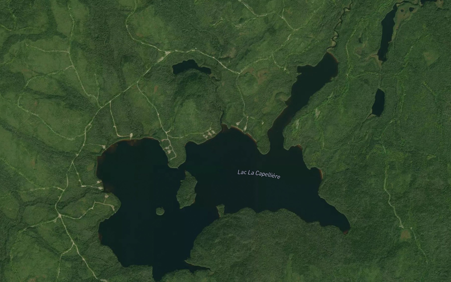 Satellite map of the Lac La Capelliere