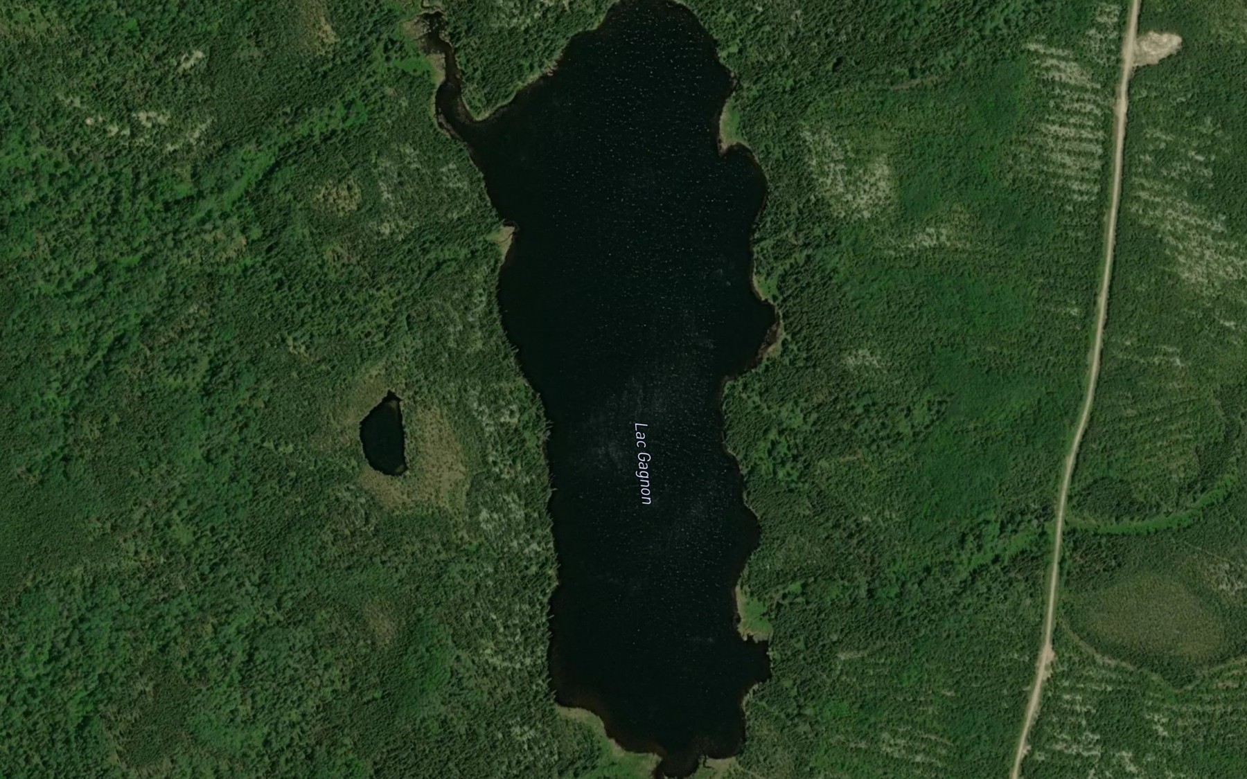 Satellite map of the Lac Gagnon