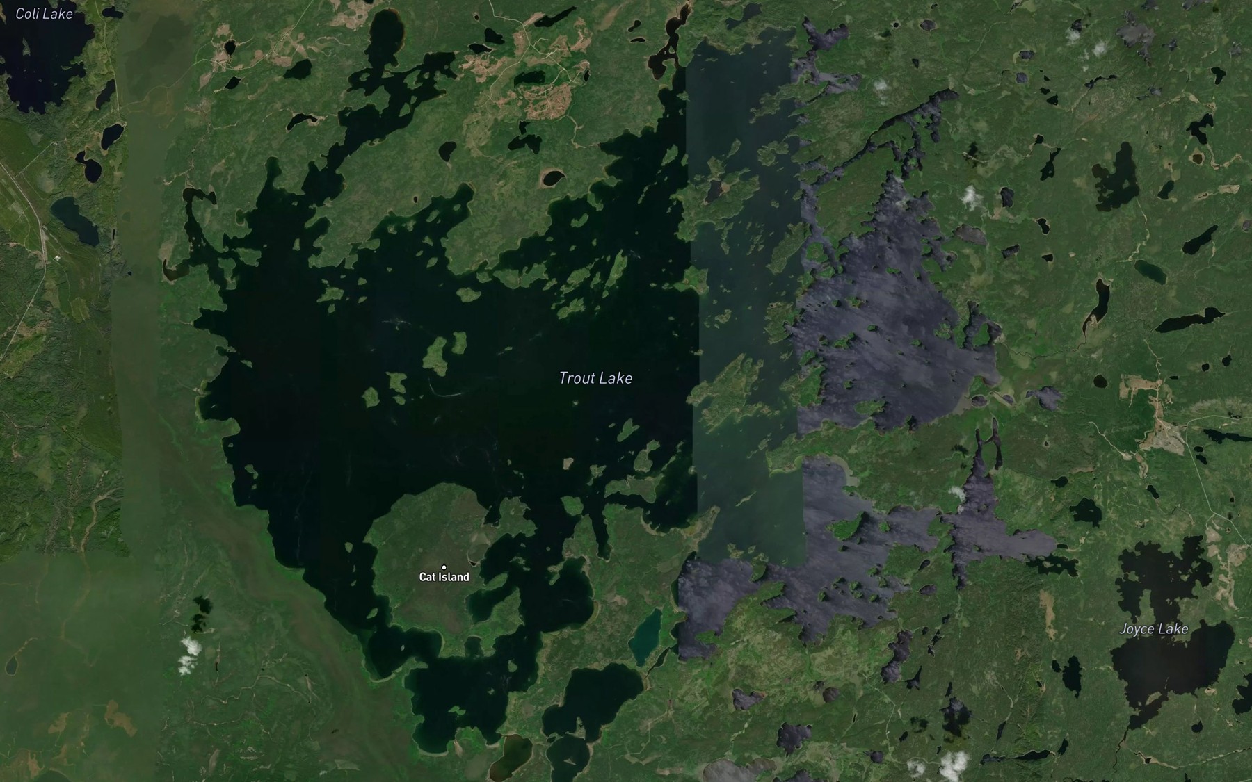 Satellite map of the Trout Lake