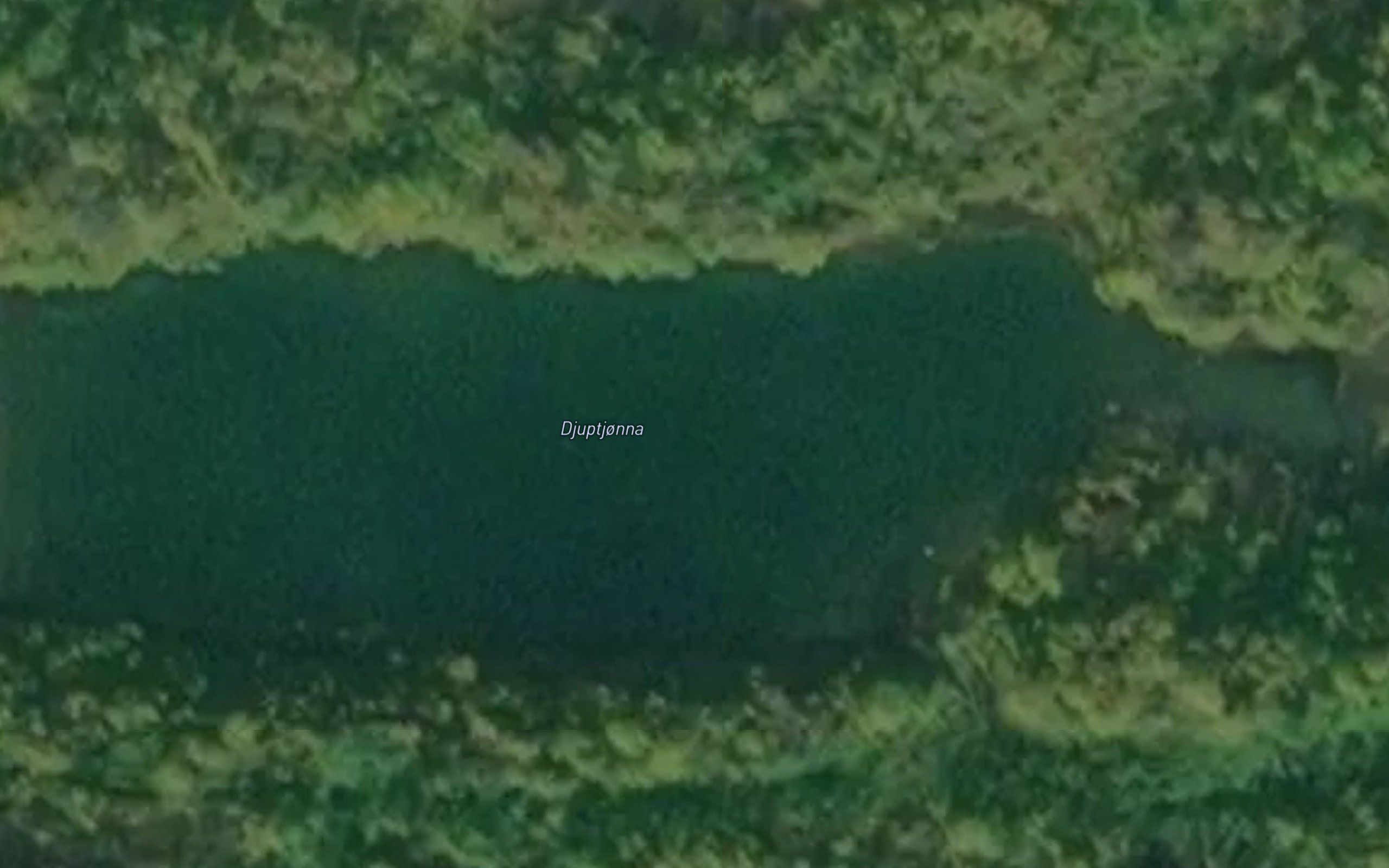 Djuptjorna