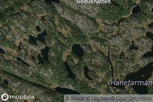 Tjonna i myra