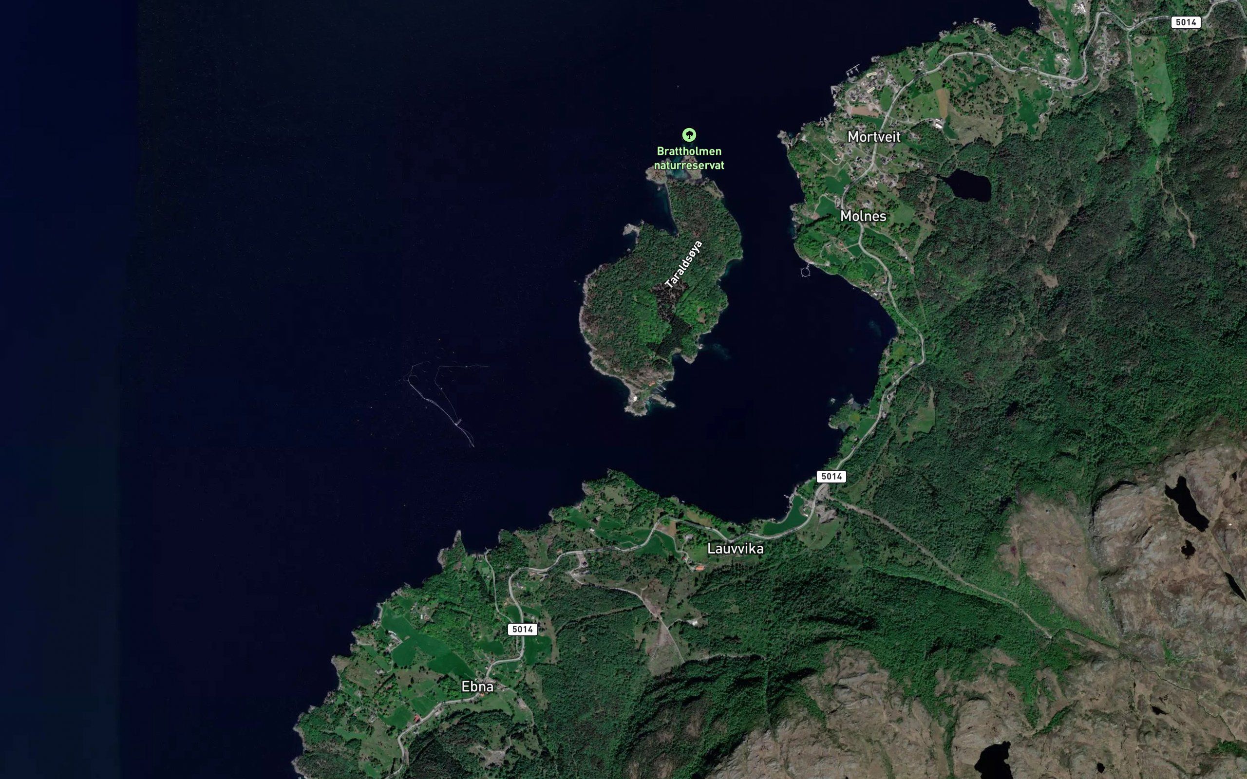 Steinavik