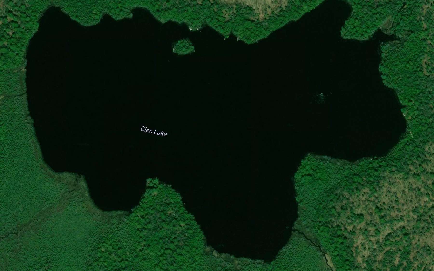 Satellite map of the Glen Lake