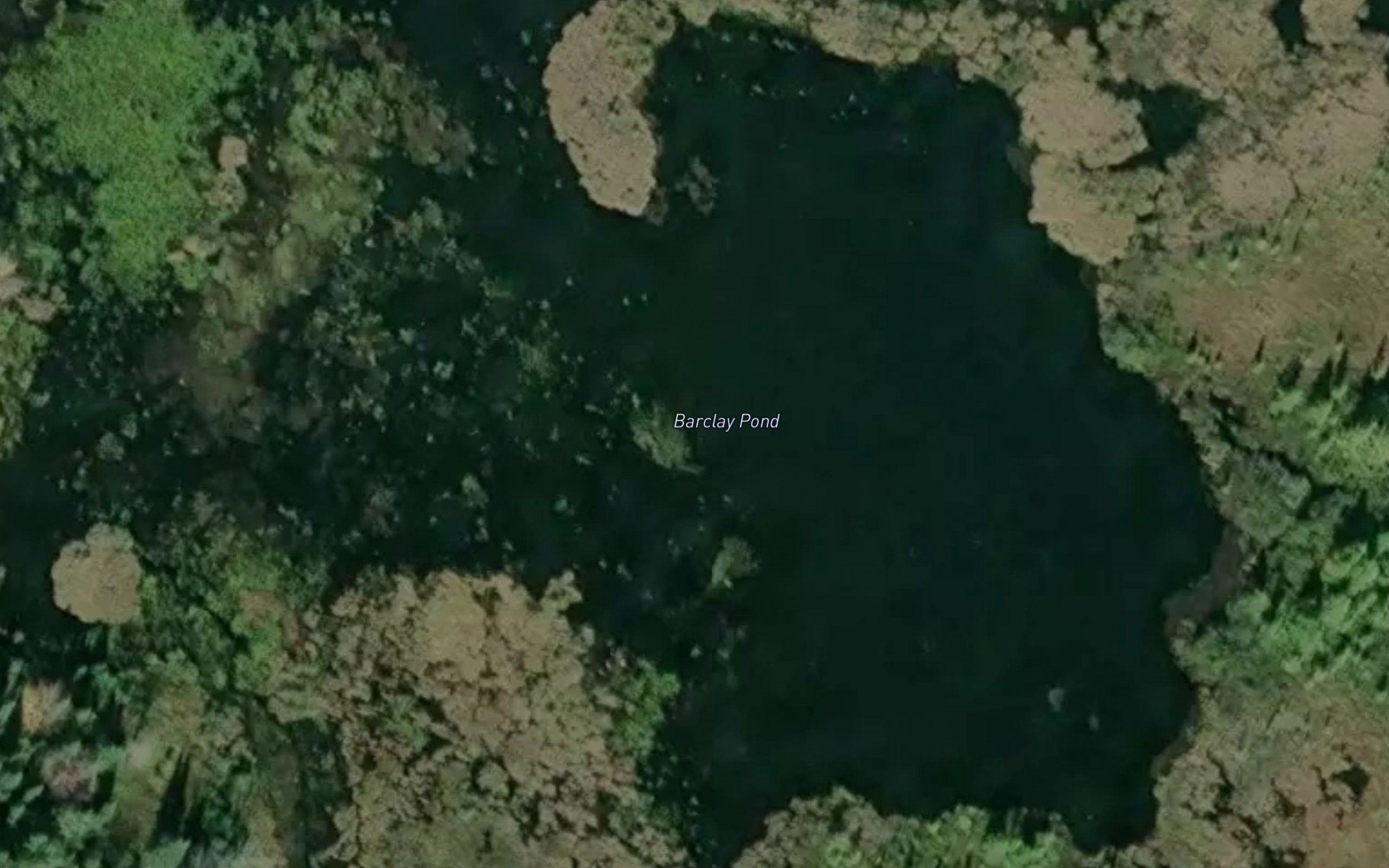 Barclay Pond
