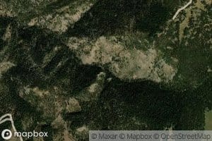 Beetle Creek