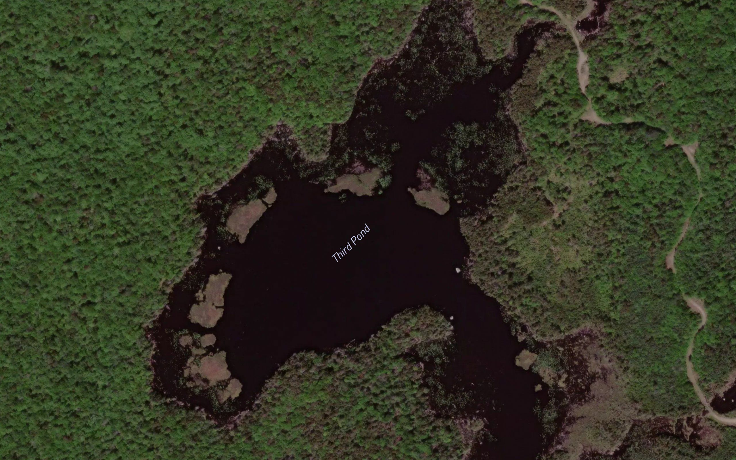 Third Pond