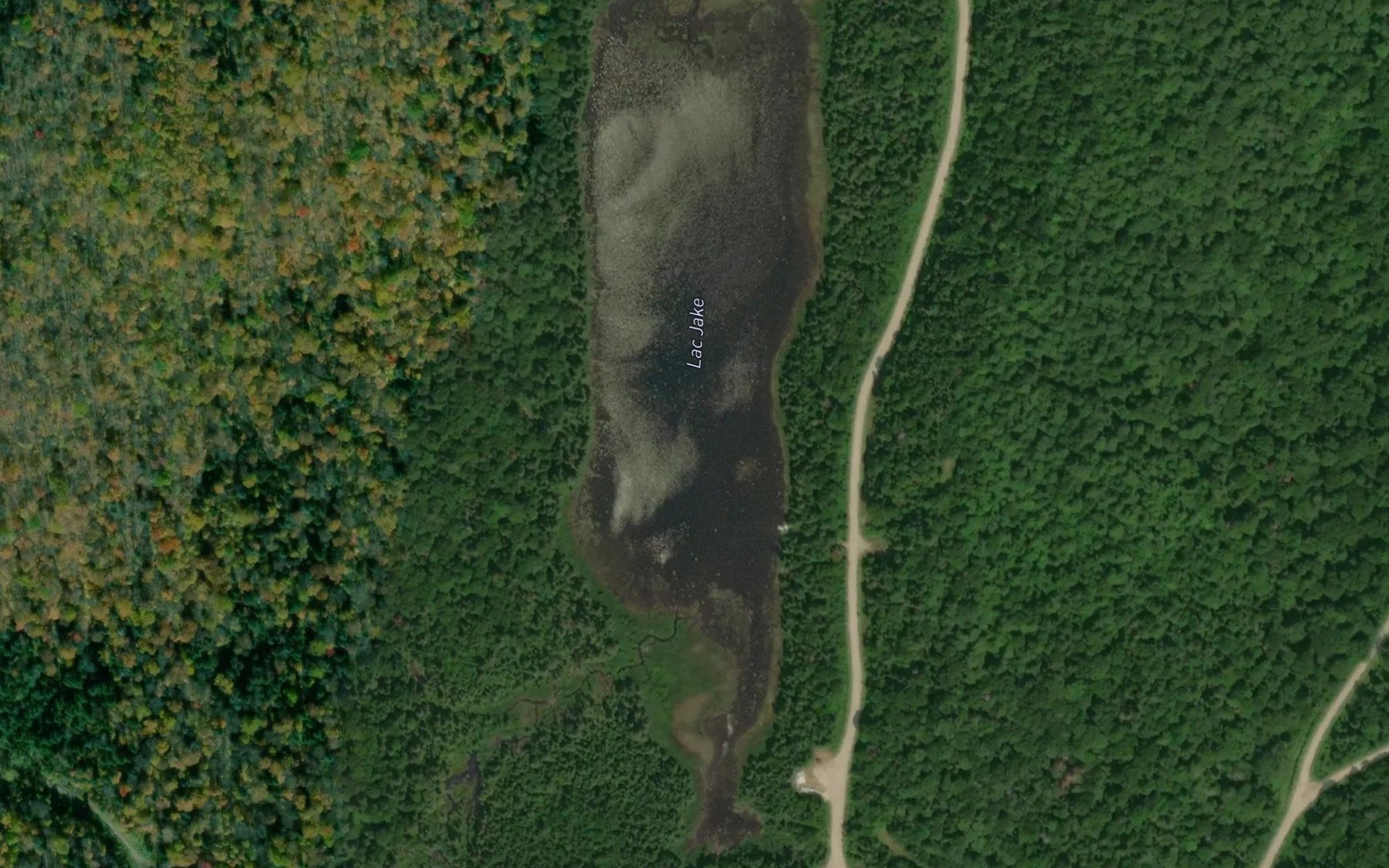 Satellite map of the Lac Jake