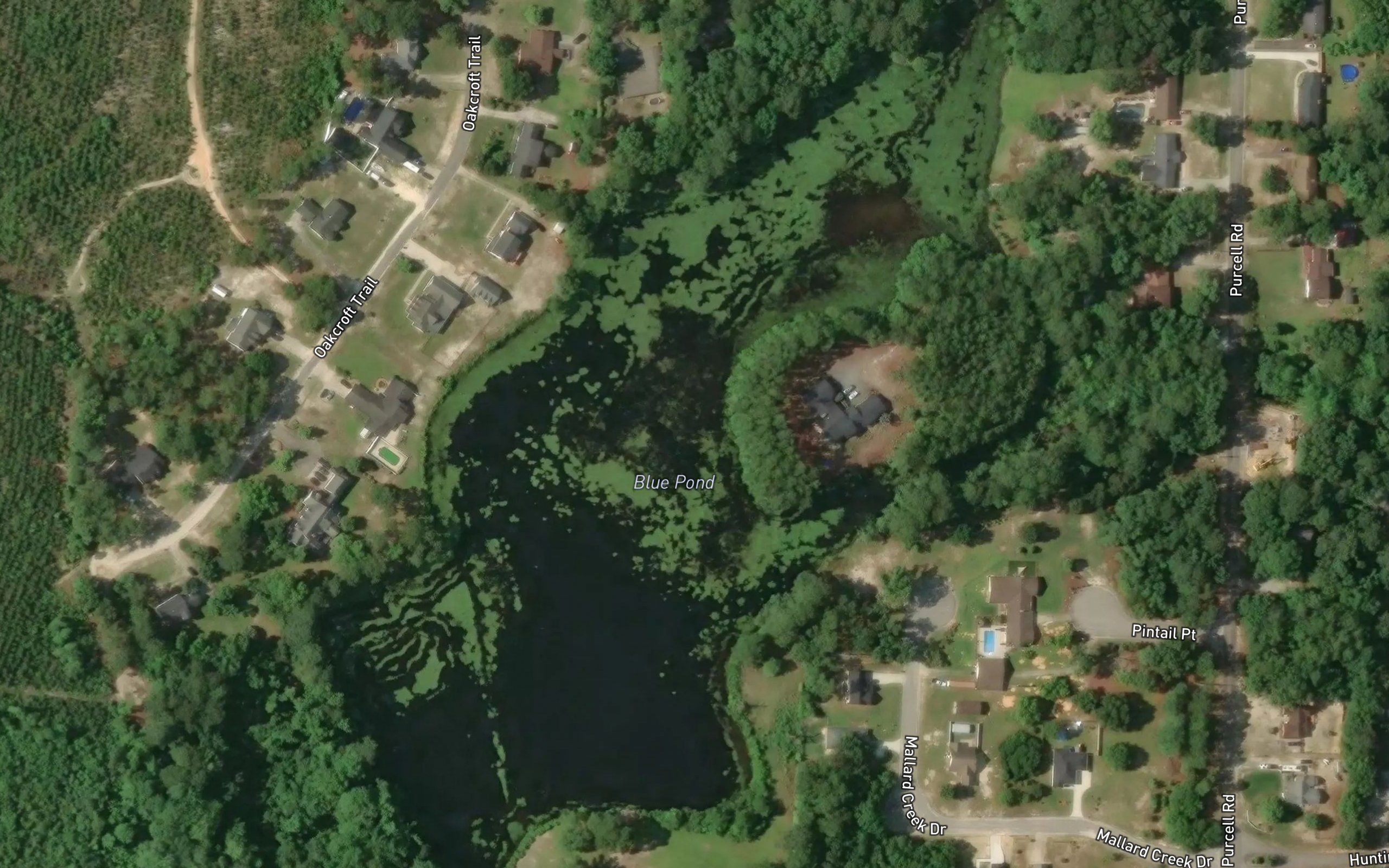 Blue Pond