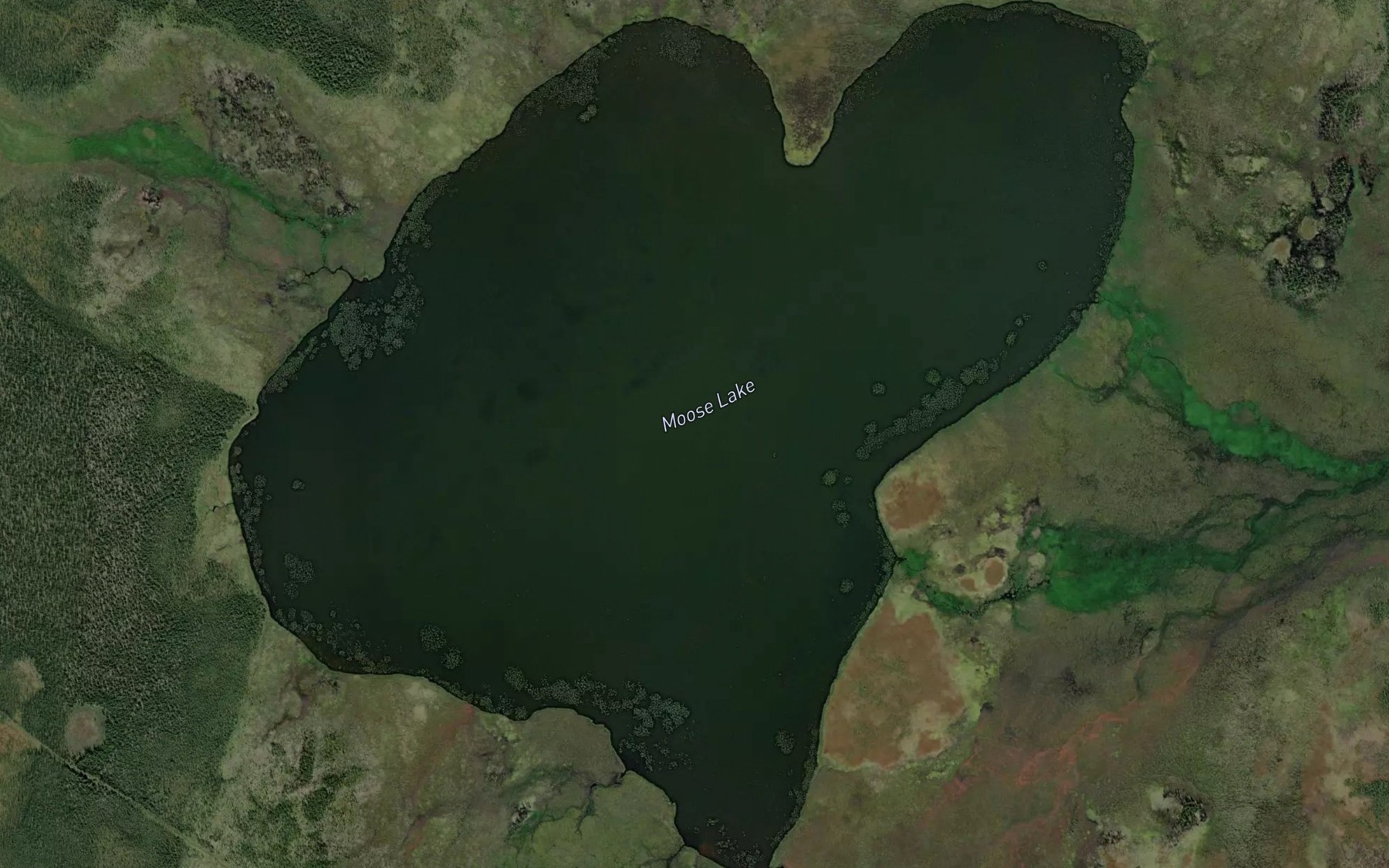Satellite map of the Moose Lake