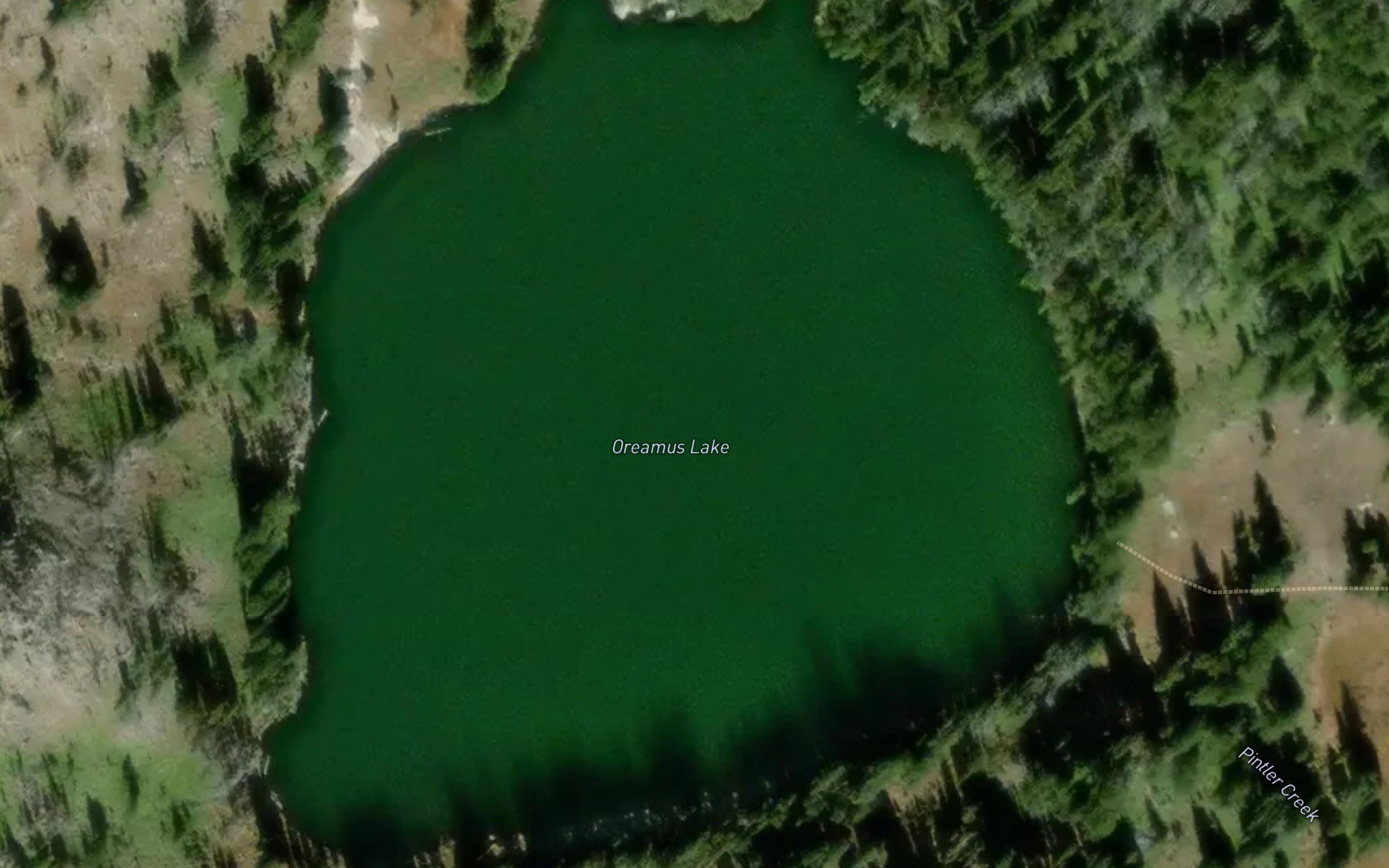 Oreamnos Lake