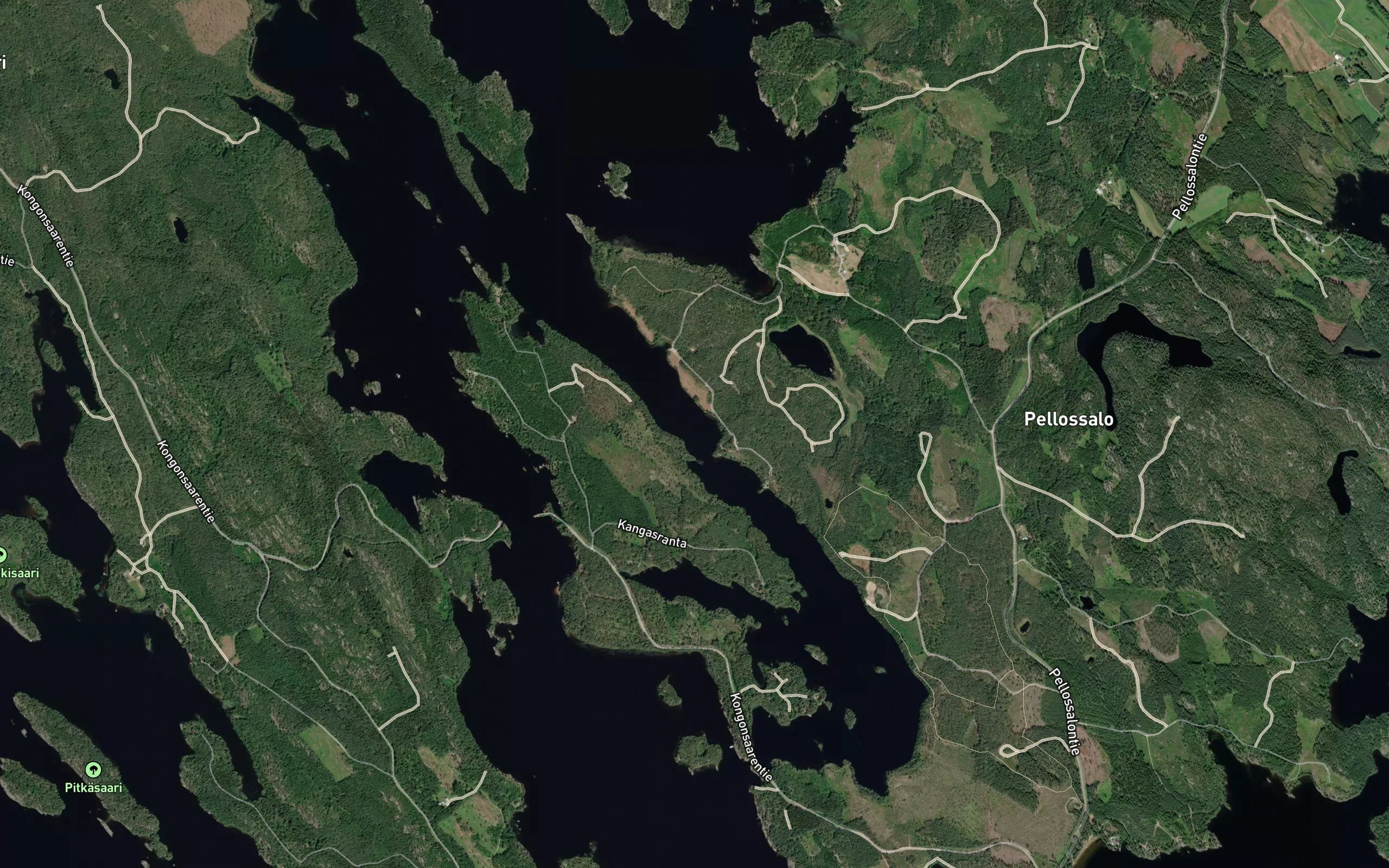 Kangassalmi