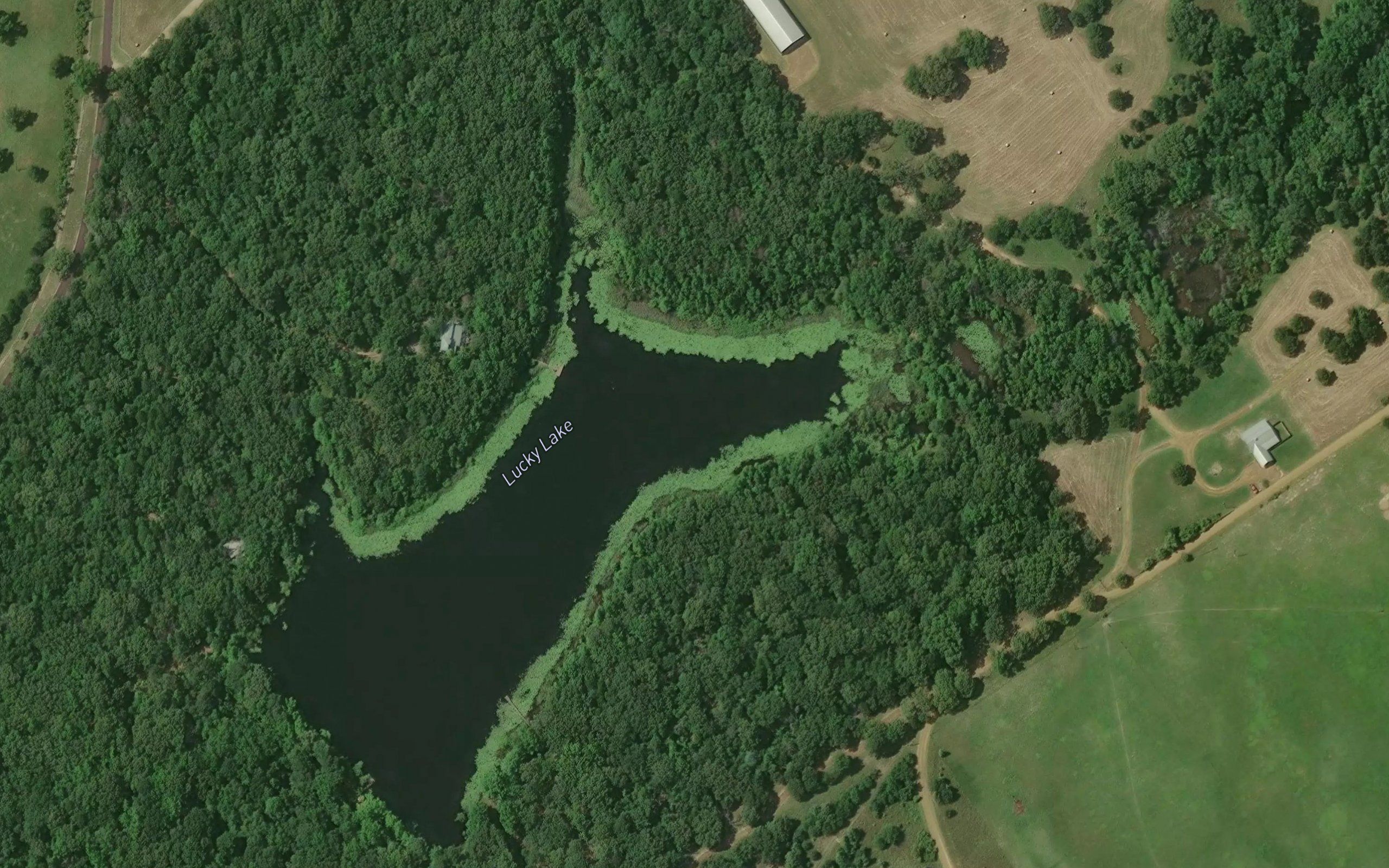 Lucky Lake