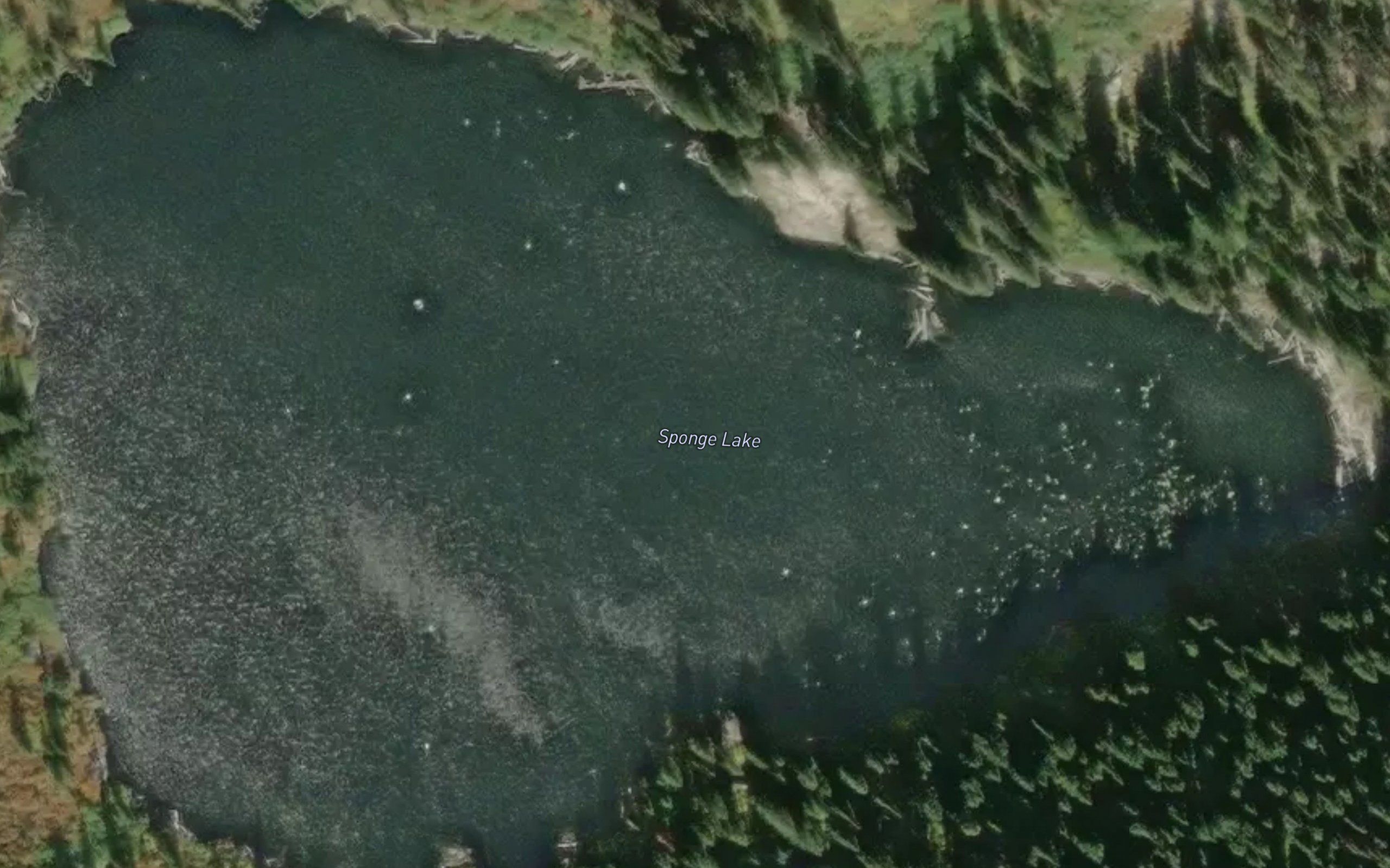 Sponge Lake