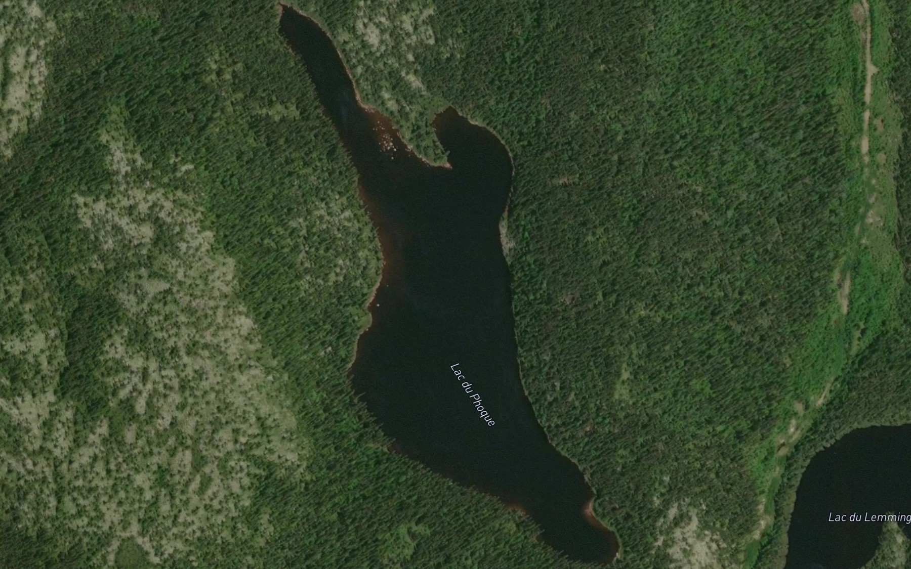 Satellite map of the Lac du Phoque