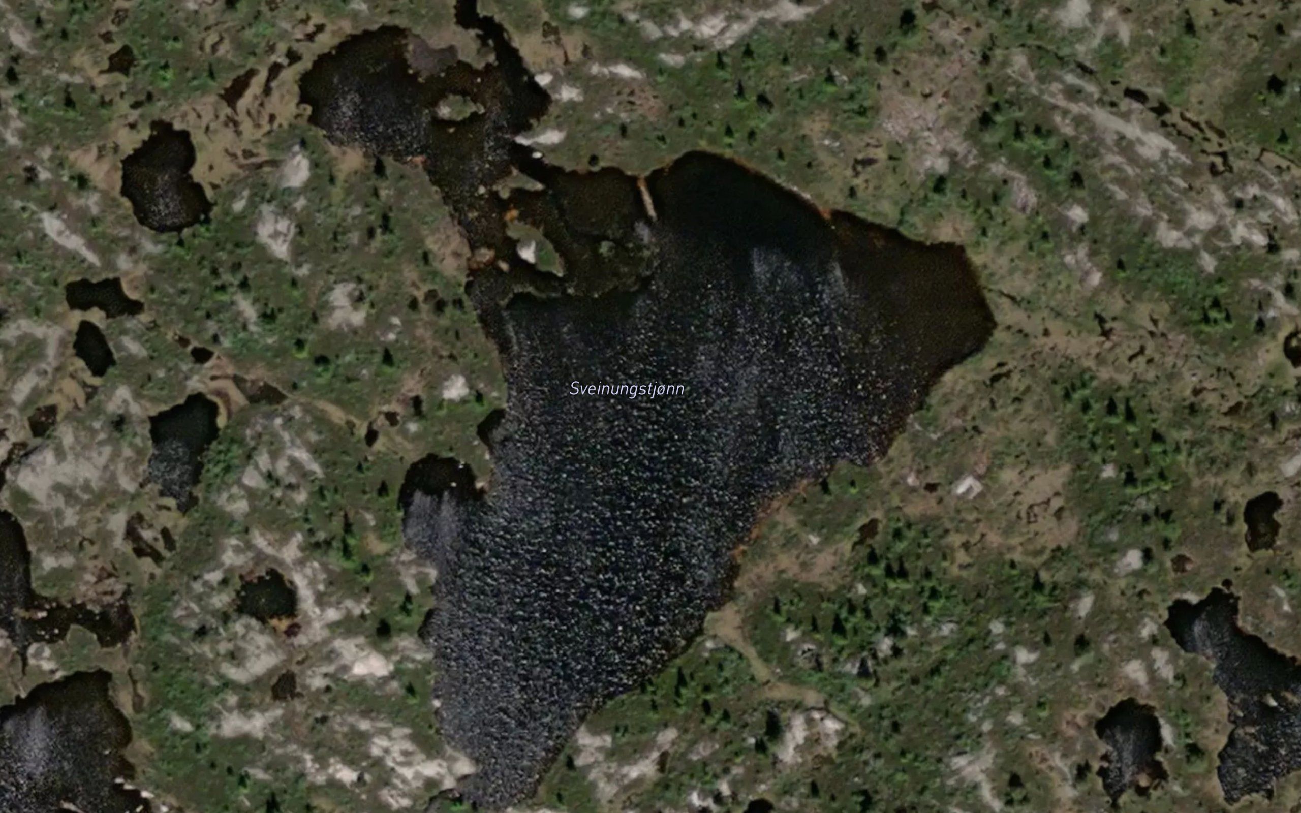 Sveinungstjonn
