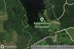 Tervalamminoja