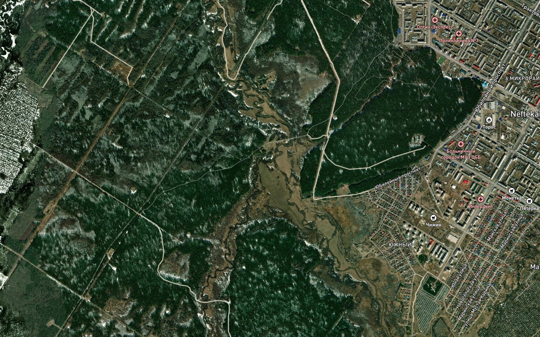Satellite map of the Poludenka