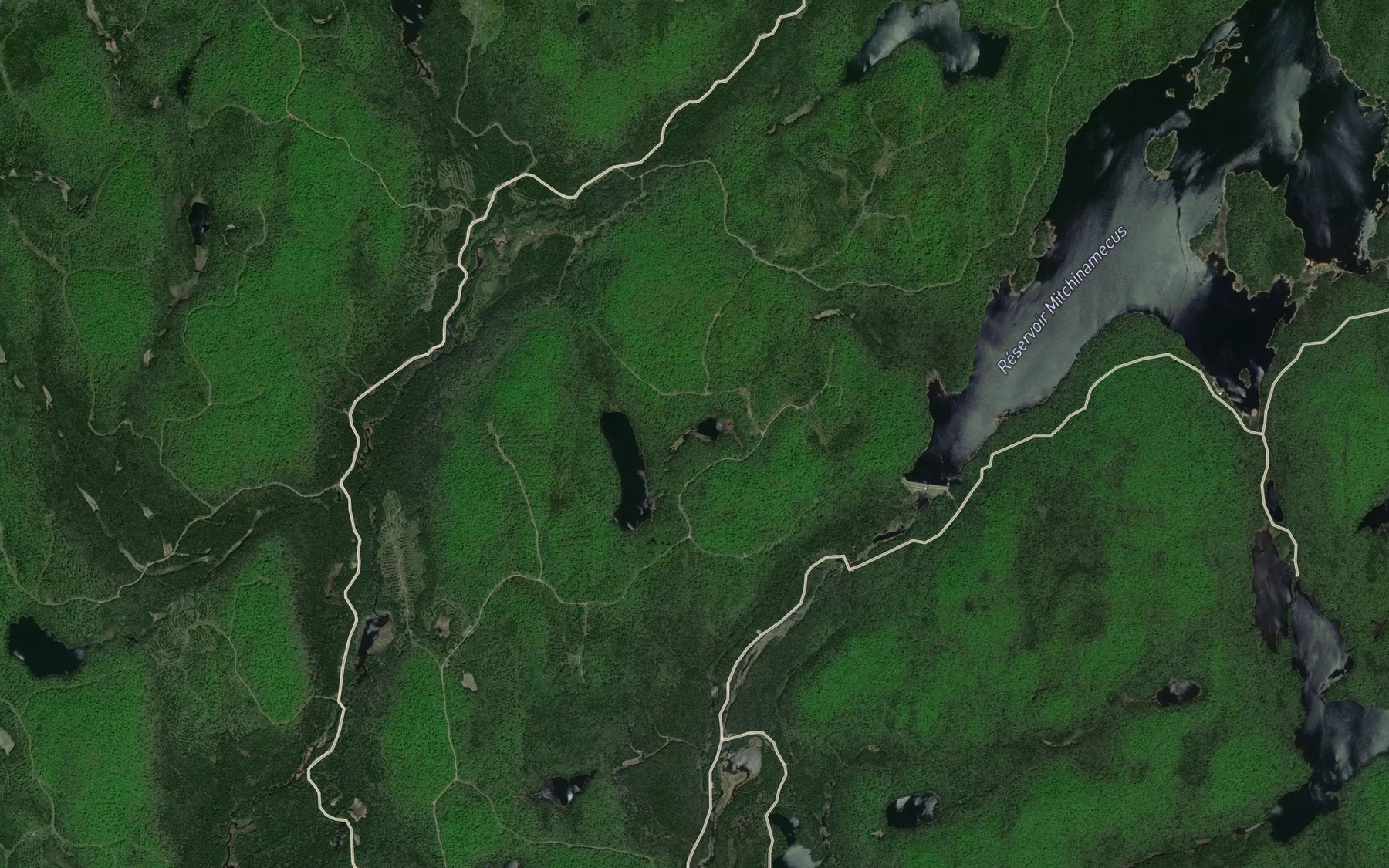 Satellite map of the Petit lac la Fouine