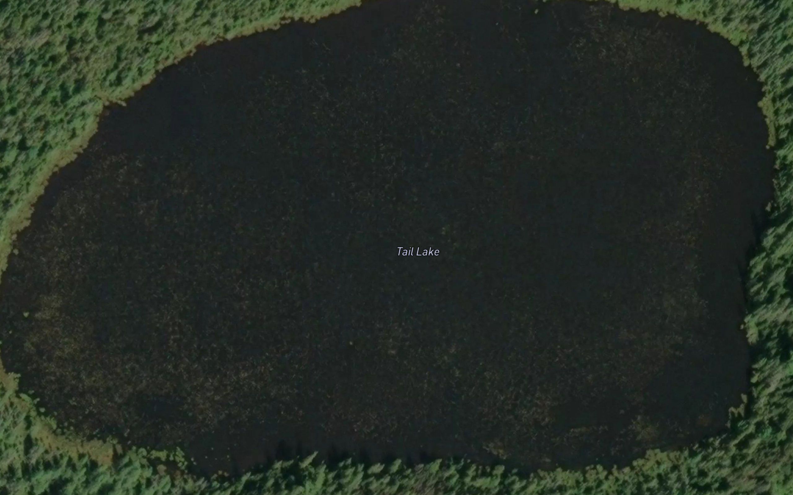 Tail Lake