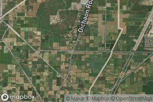 Mundka Branch Distributary