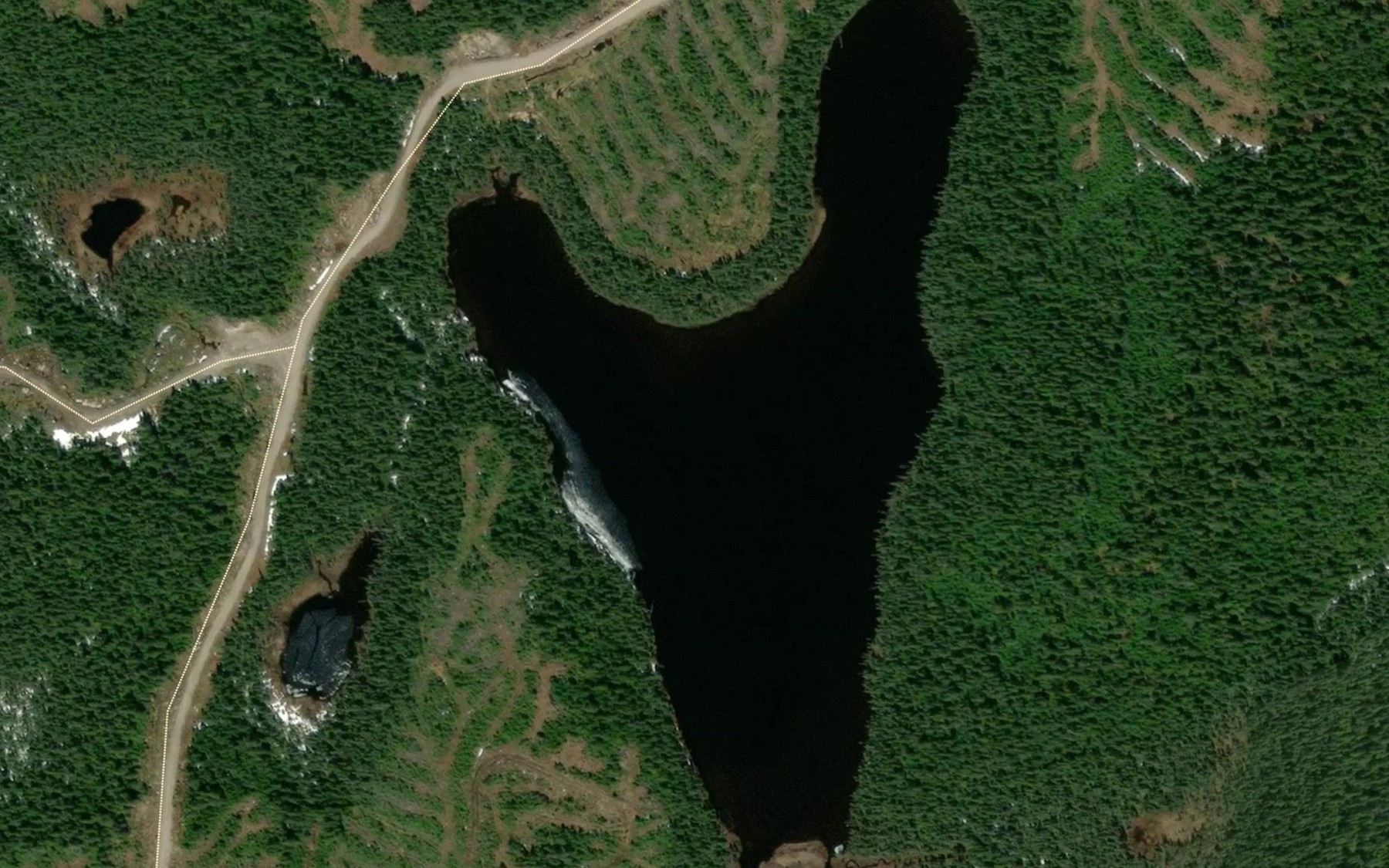 Satellite map of the Lac de la Tete d'Orignal