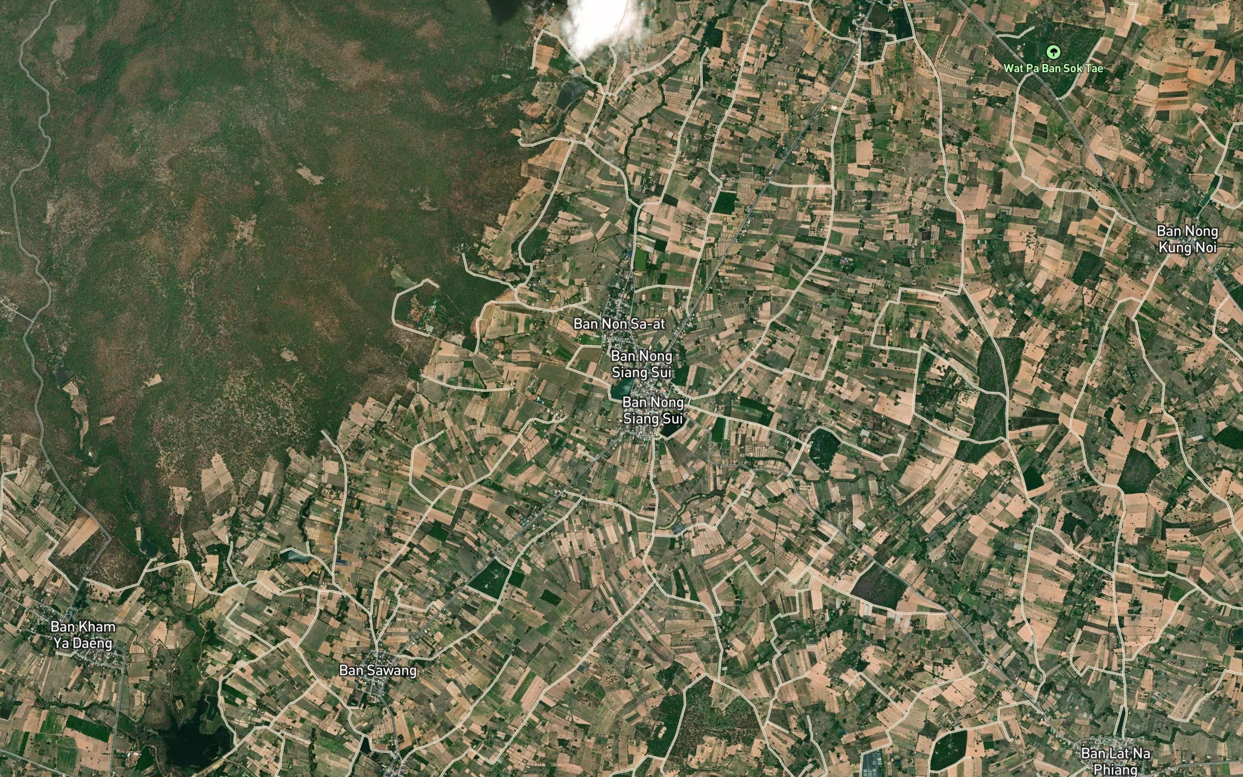 Nong Siang Sui