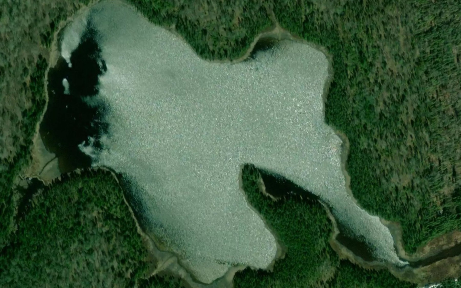 Satellite map of the Lac Decapodes