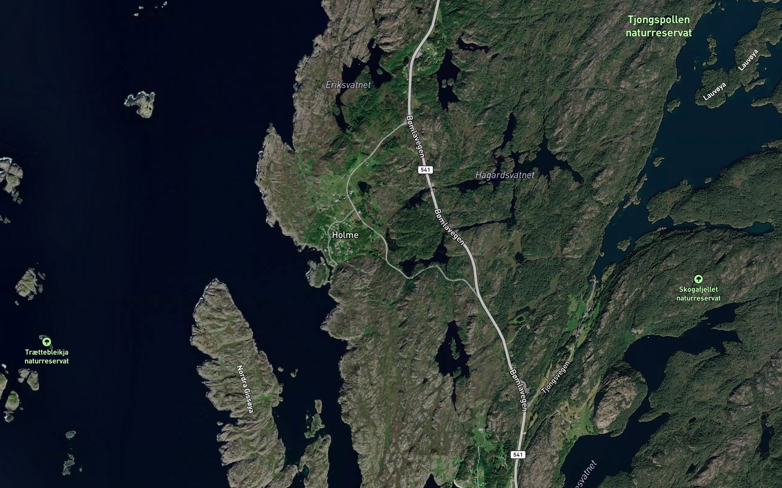 Kattatjorna