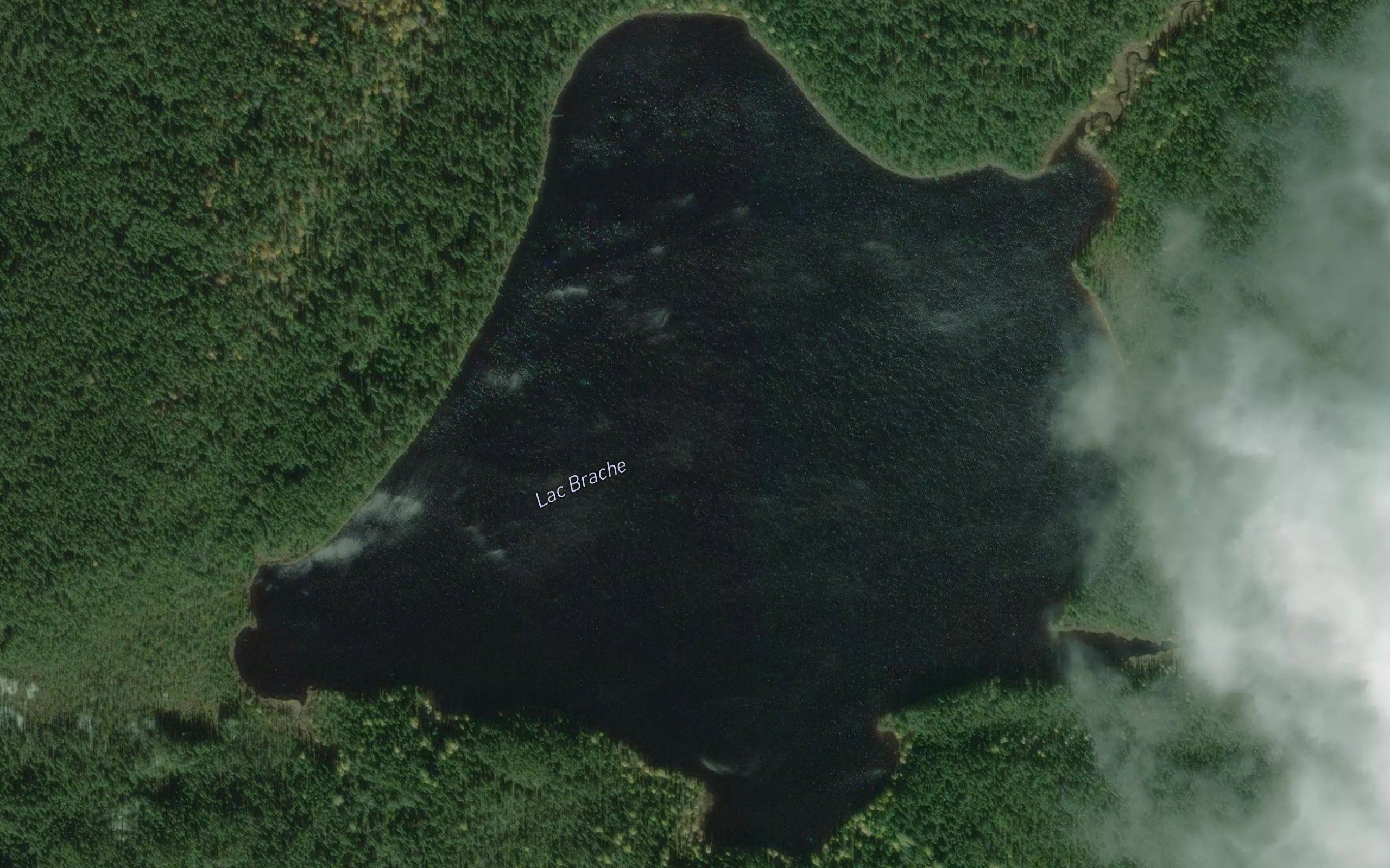 Lac Brache