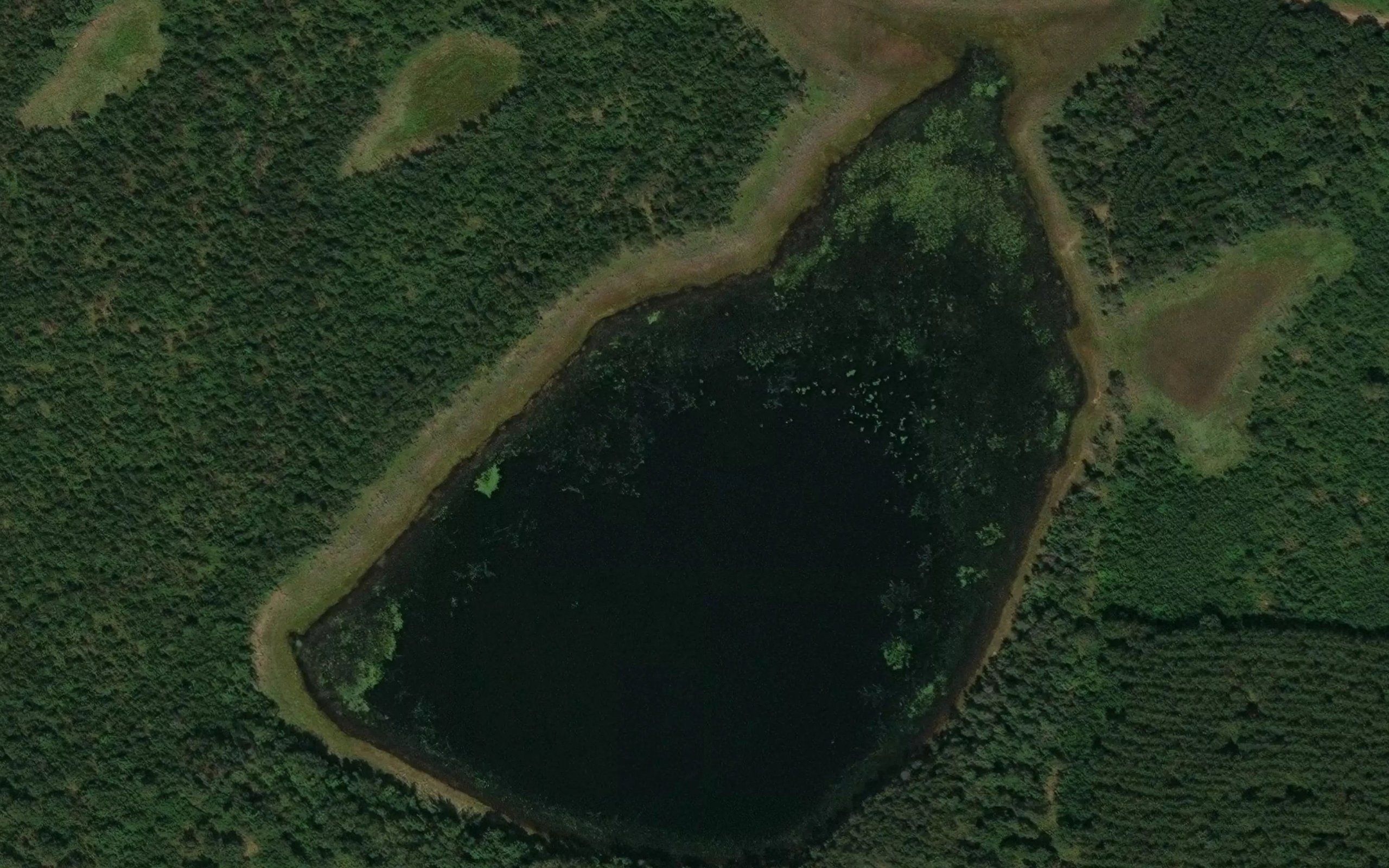 Fenton Lake