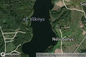 Ezeras Vilkinys
