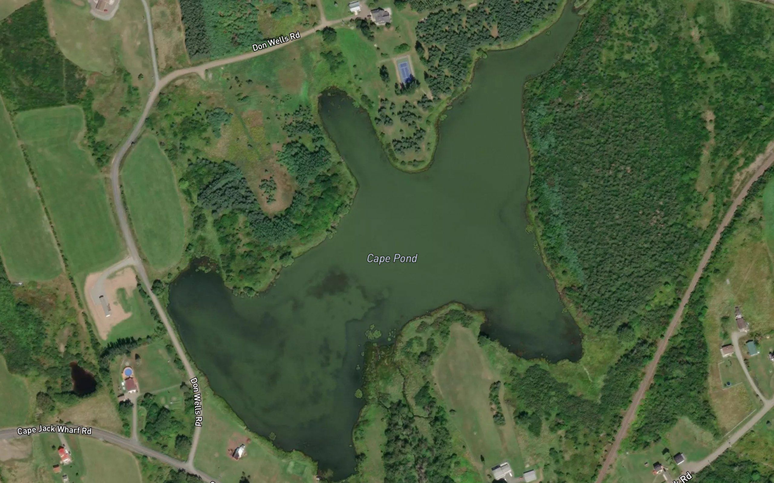 Cape Pond