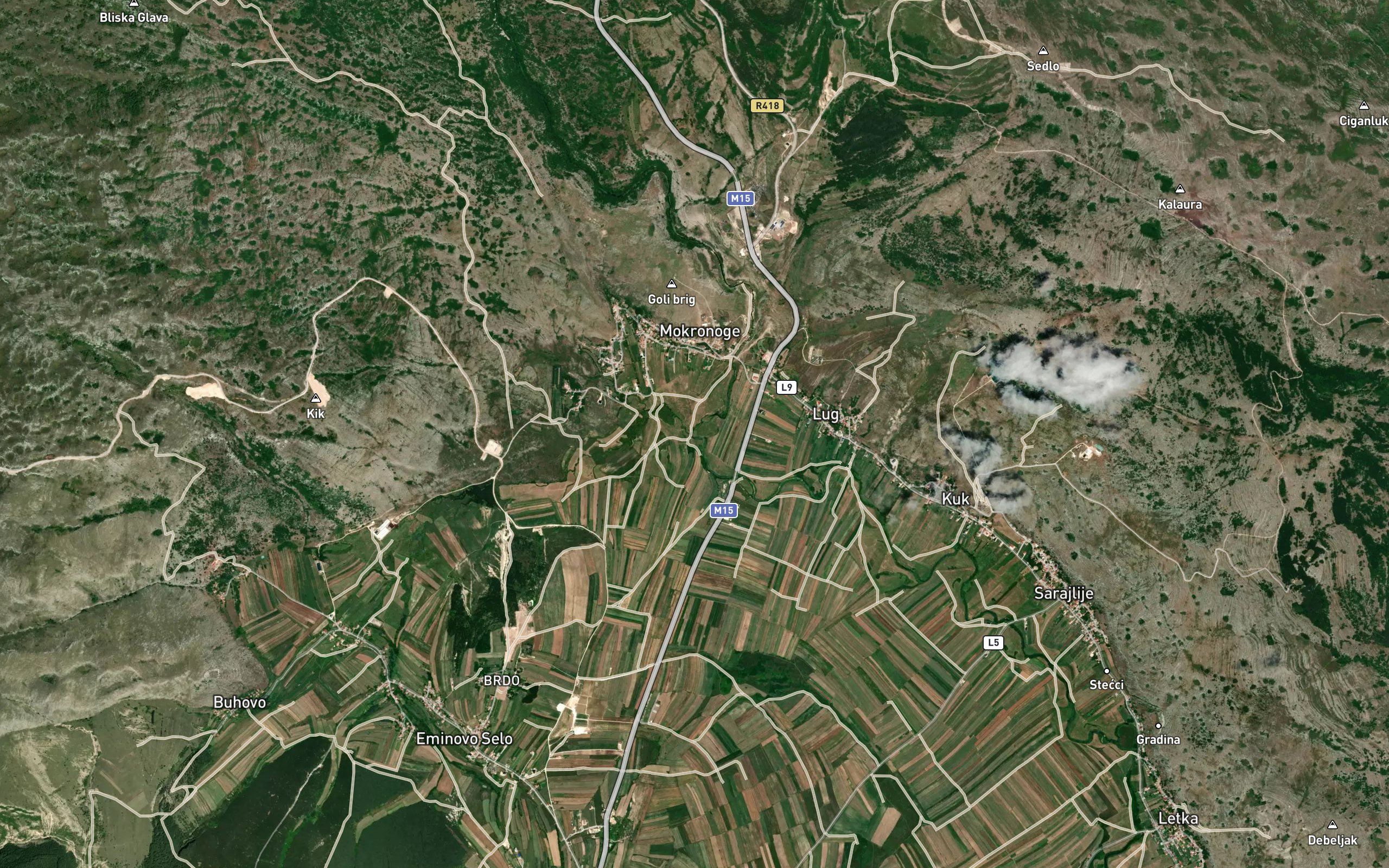 Vucica