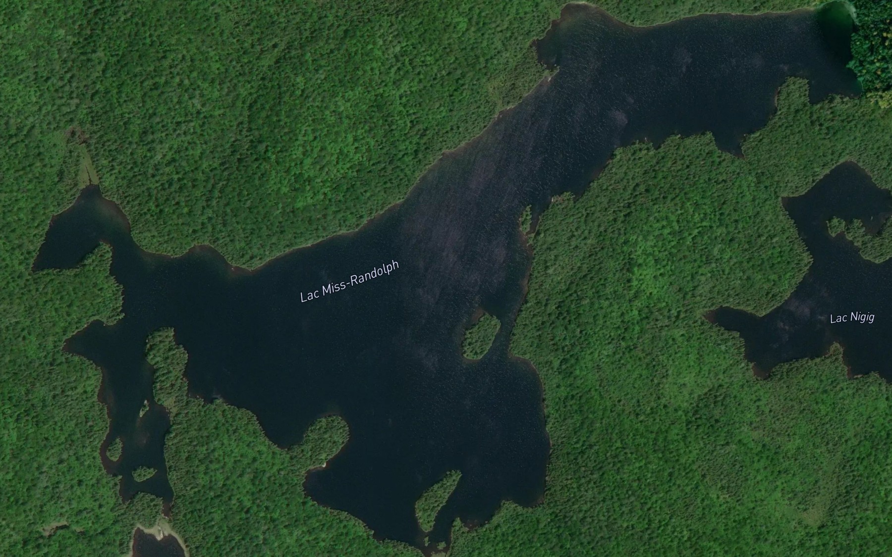Satellite map of the Lac Miss-Randolph