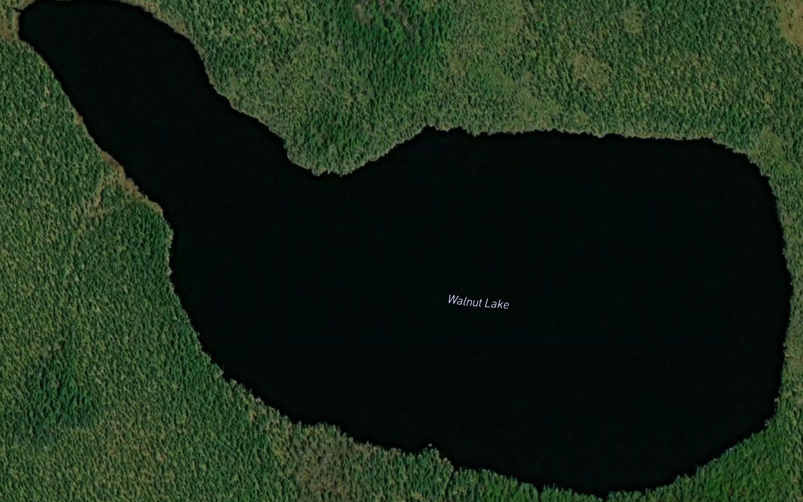 Walnut Lake