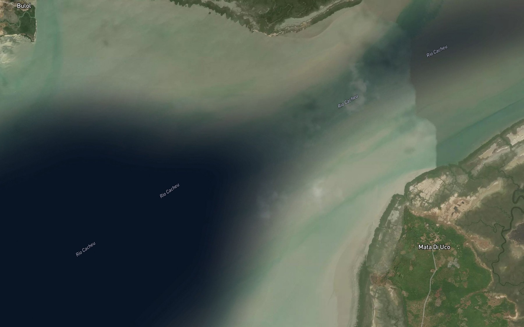 Satellite map of the Rio Cacheu