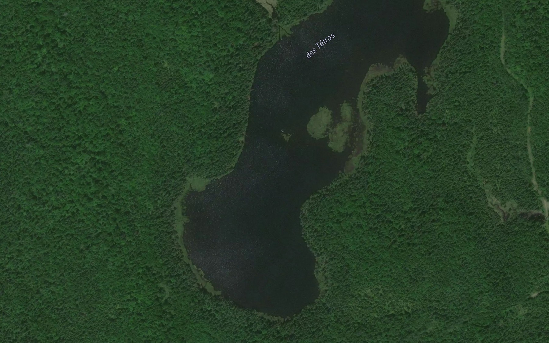 Satellite map of the Lac des Tetras