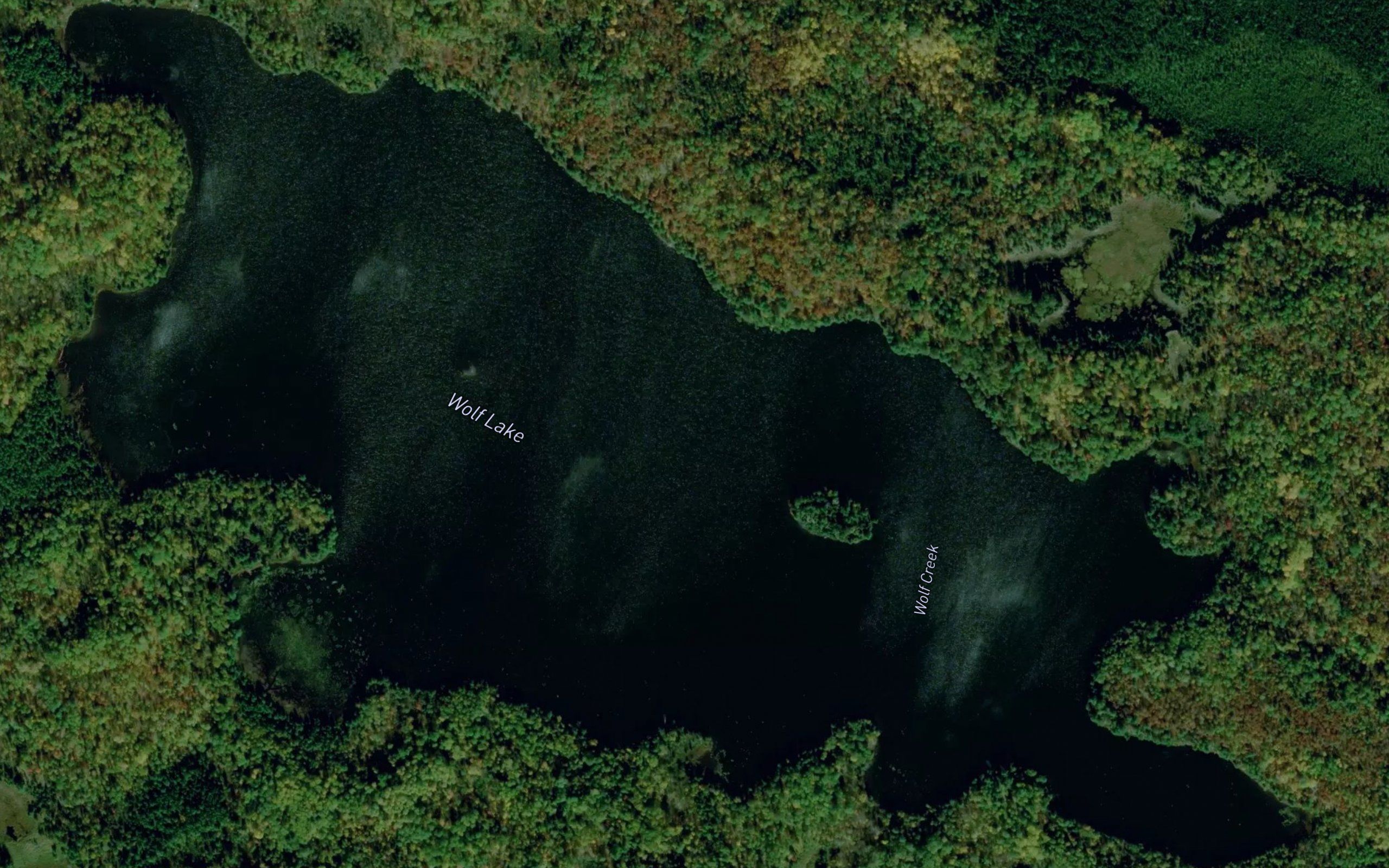 Wolf Lake