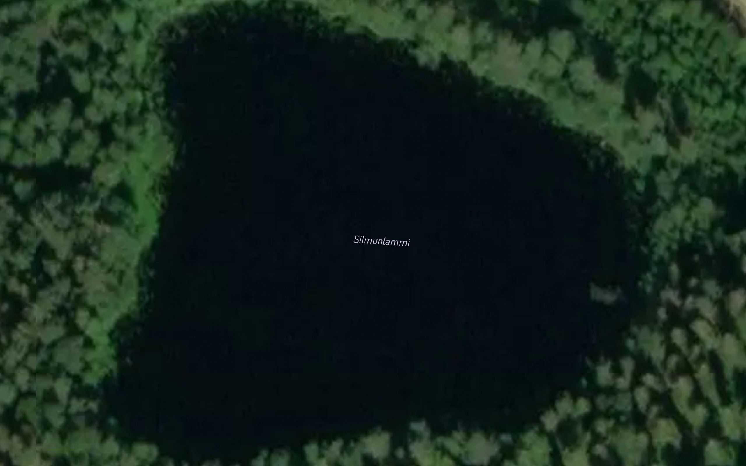 Silmunlammi