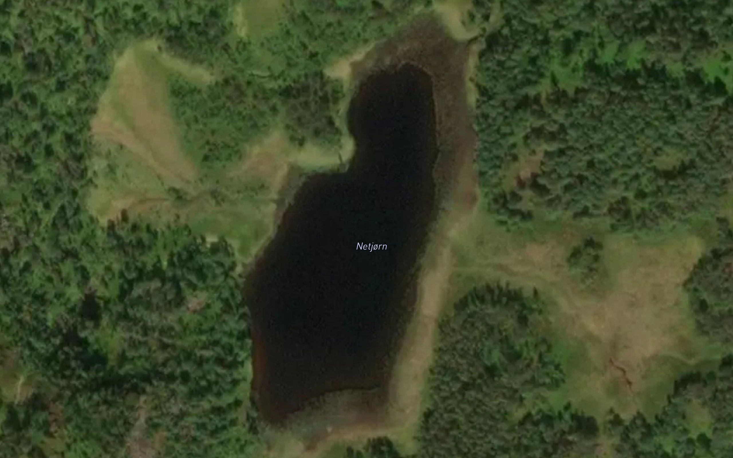 Netjorn