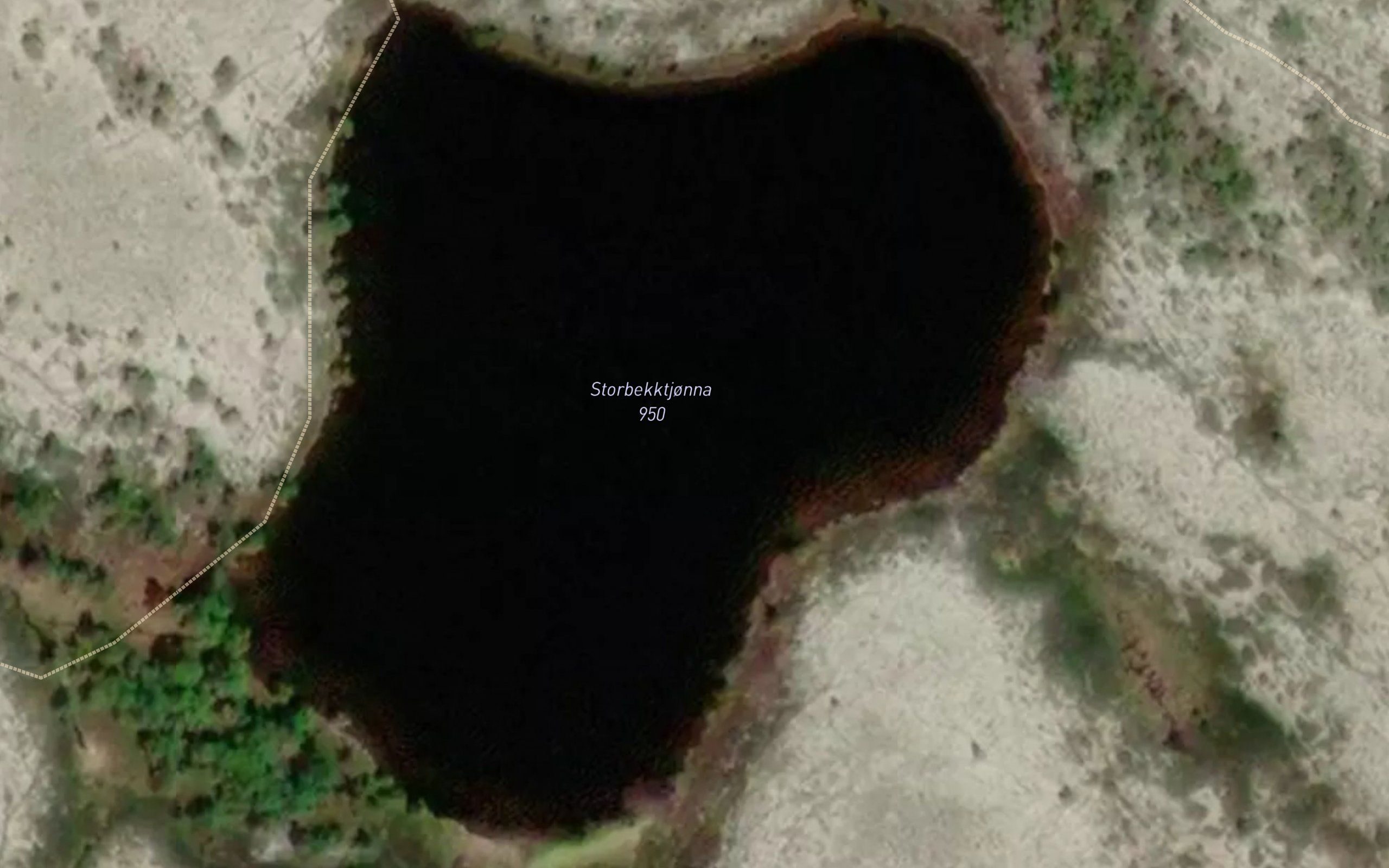 Storbekktjorna