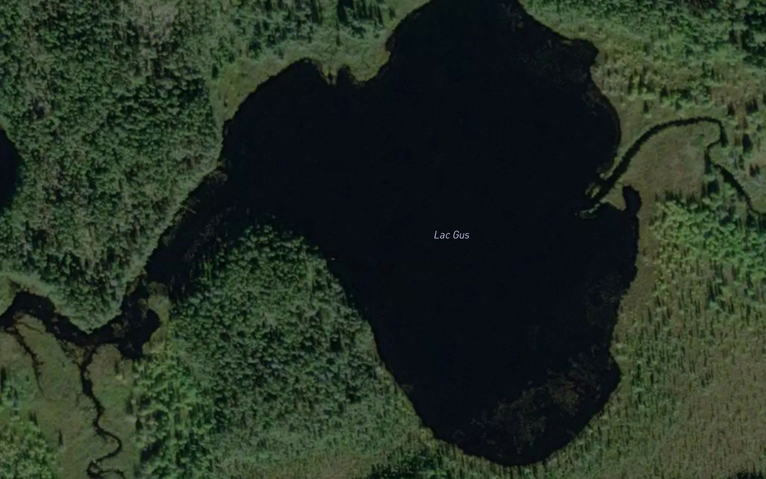 Lac Gus