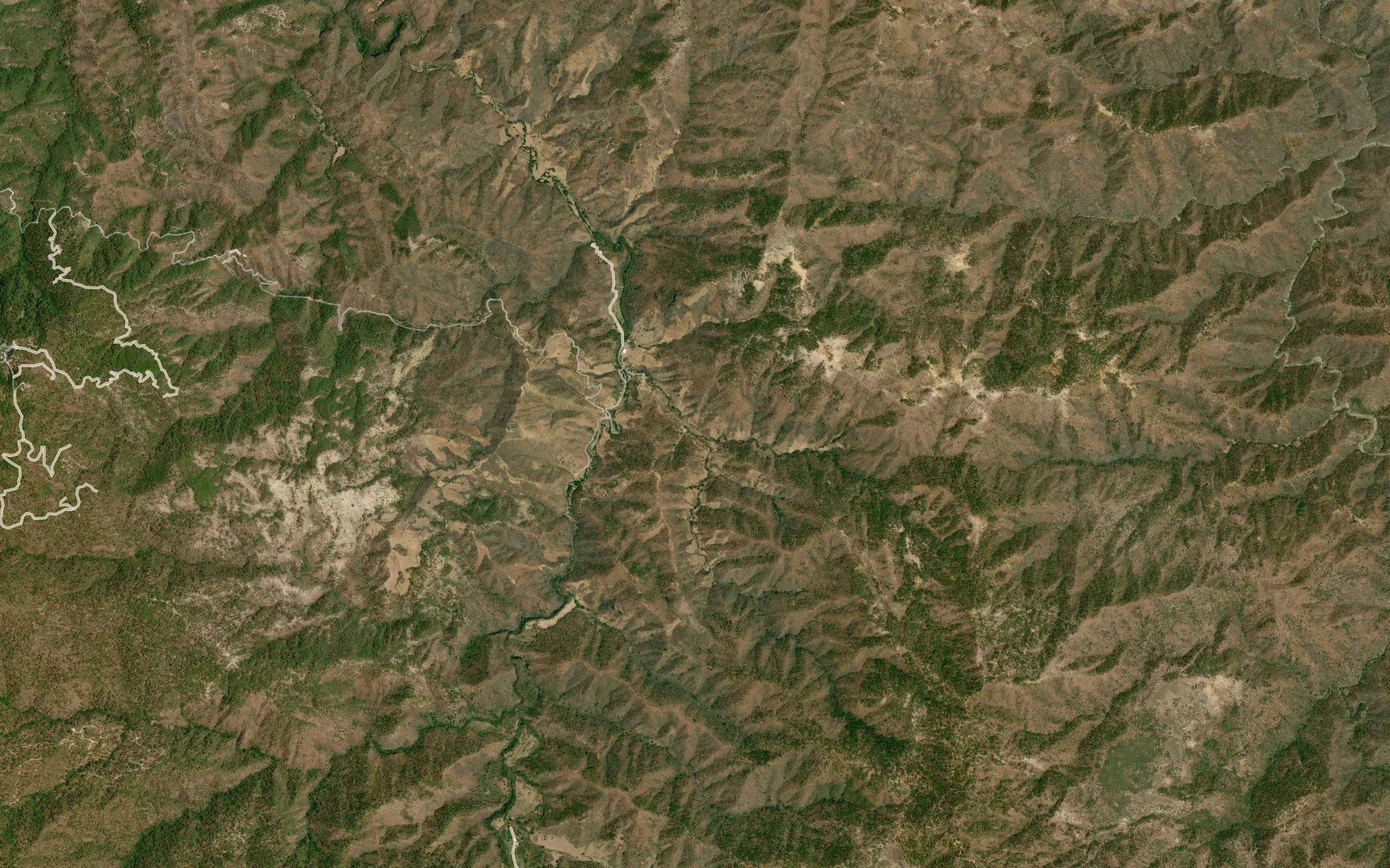 El Cedro
