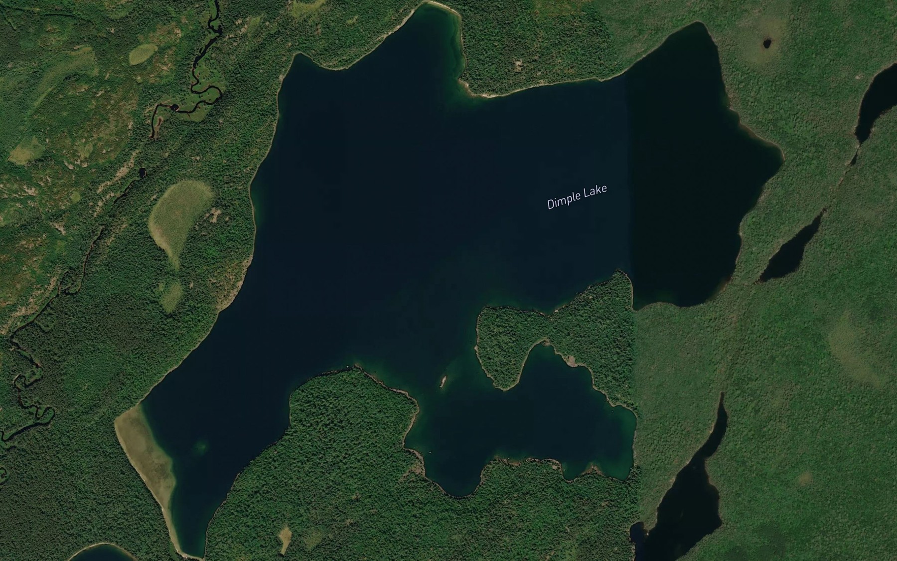 Satellite map of the Dimple Lake
