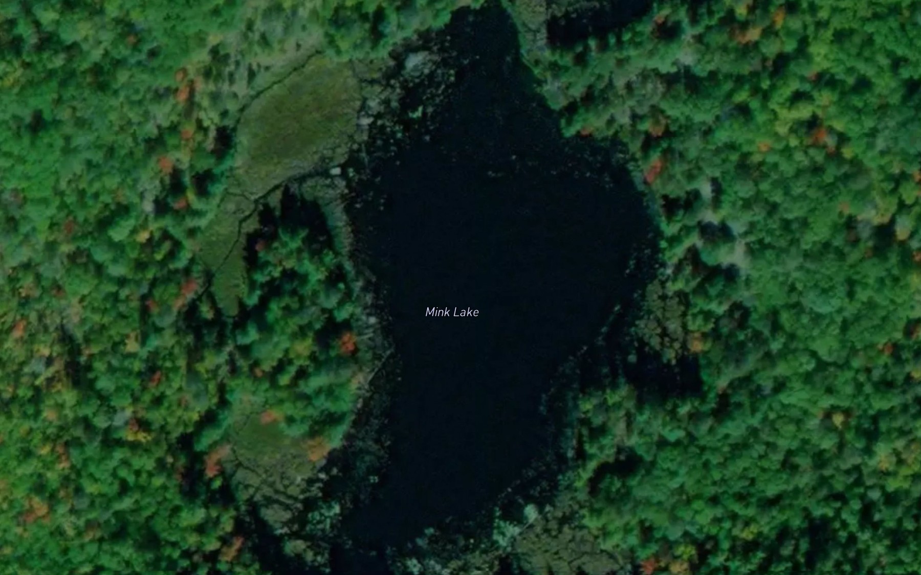 Satellite map of the Mink Lake