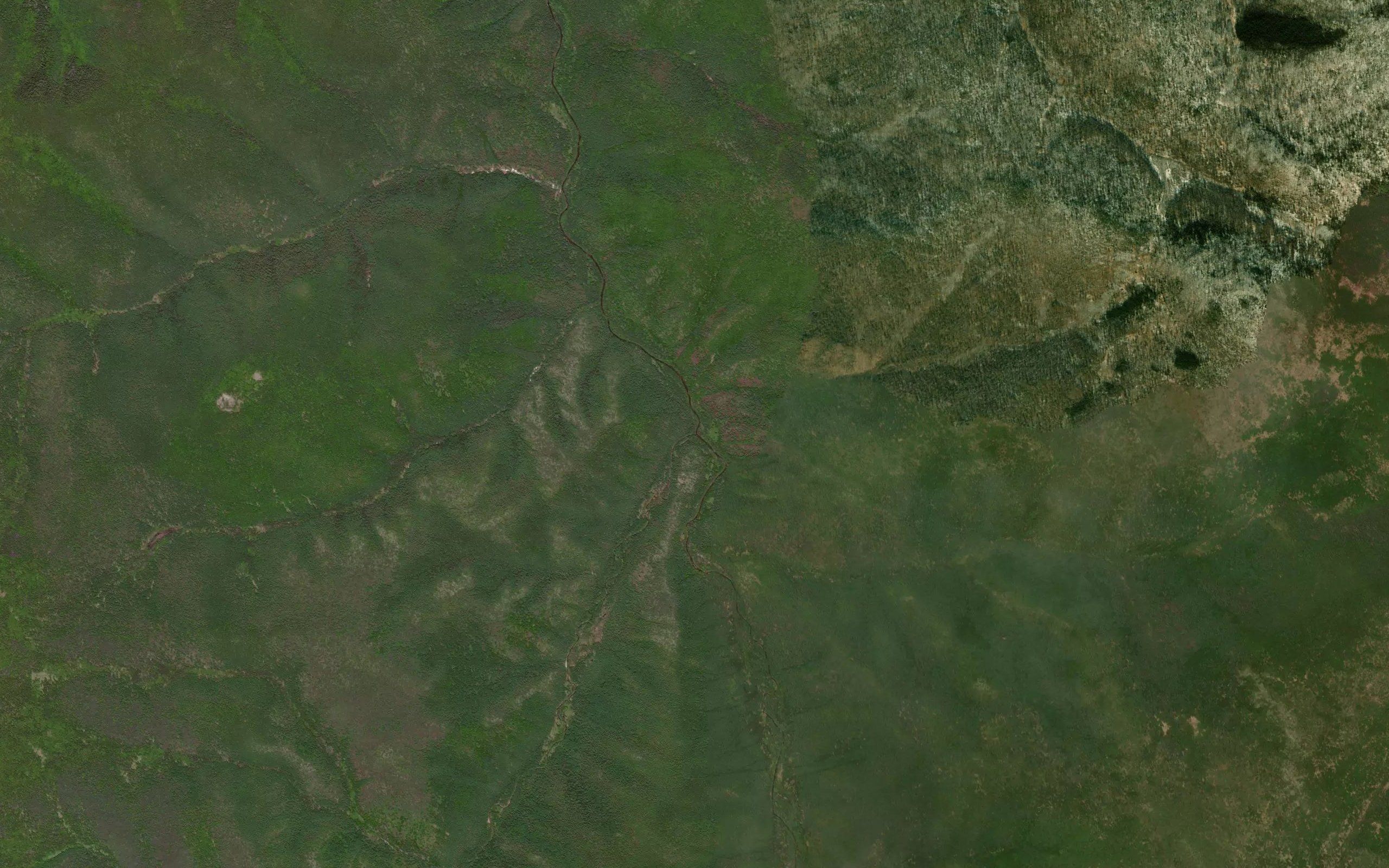 Rasstavaniya