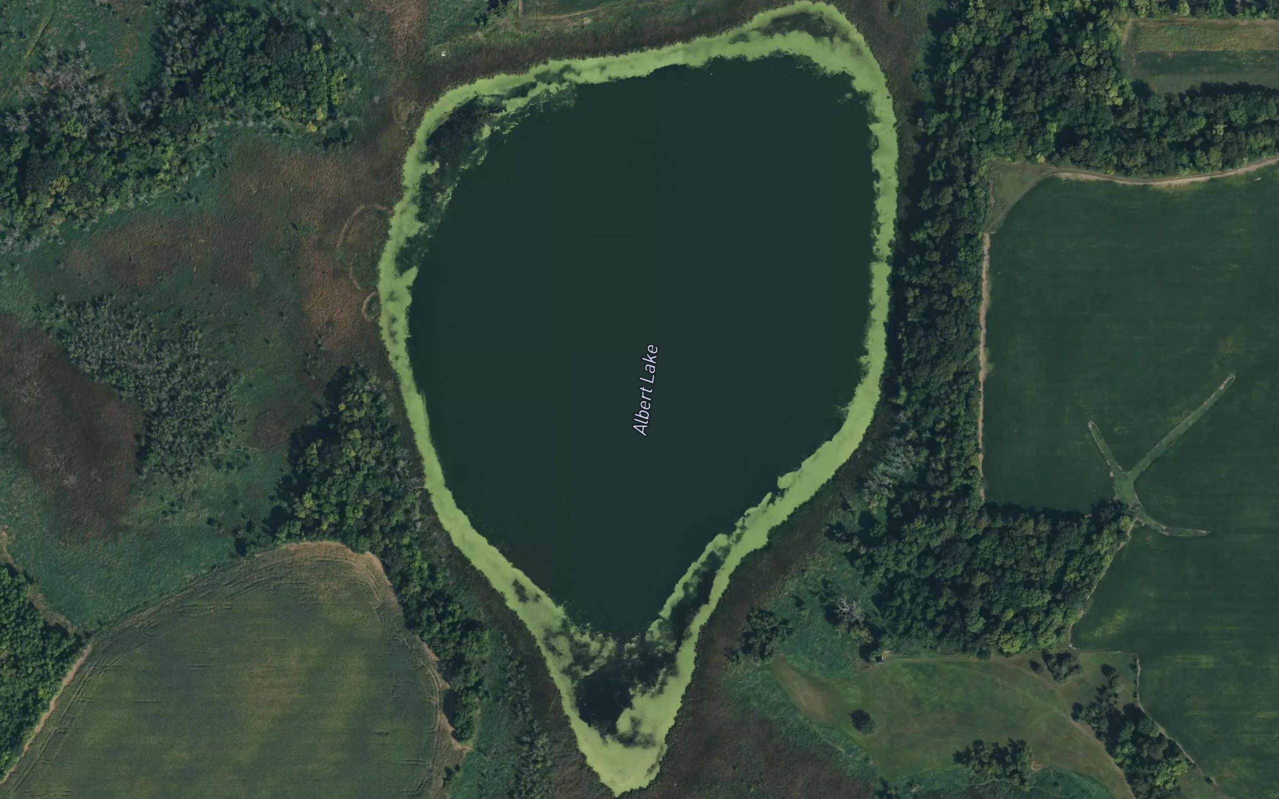 Albert Lake