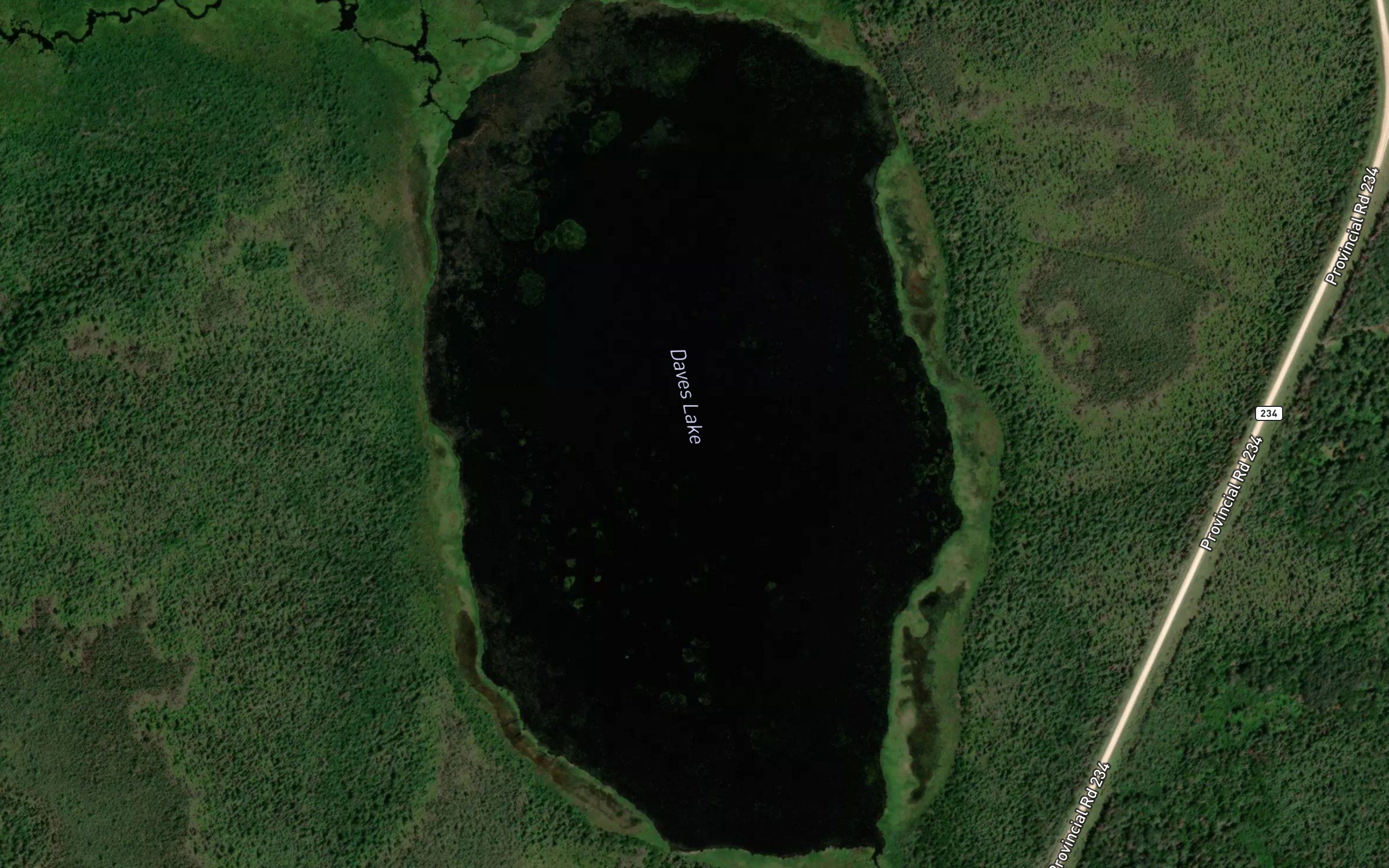 Daves Lake