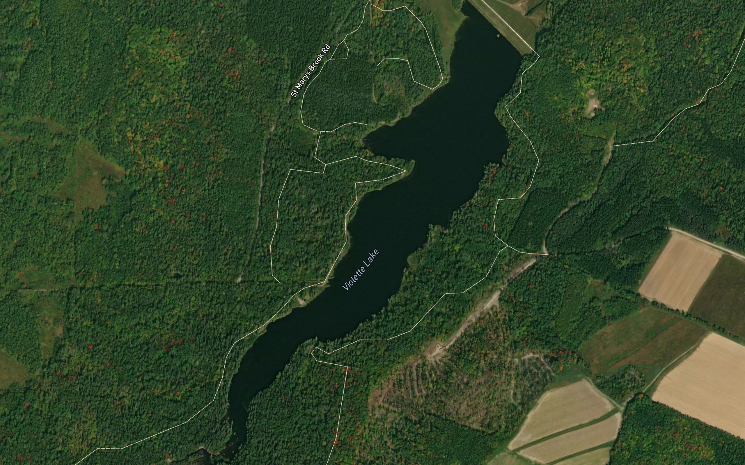 Violette Lake