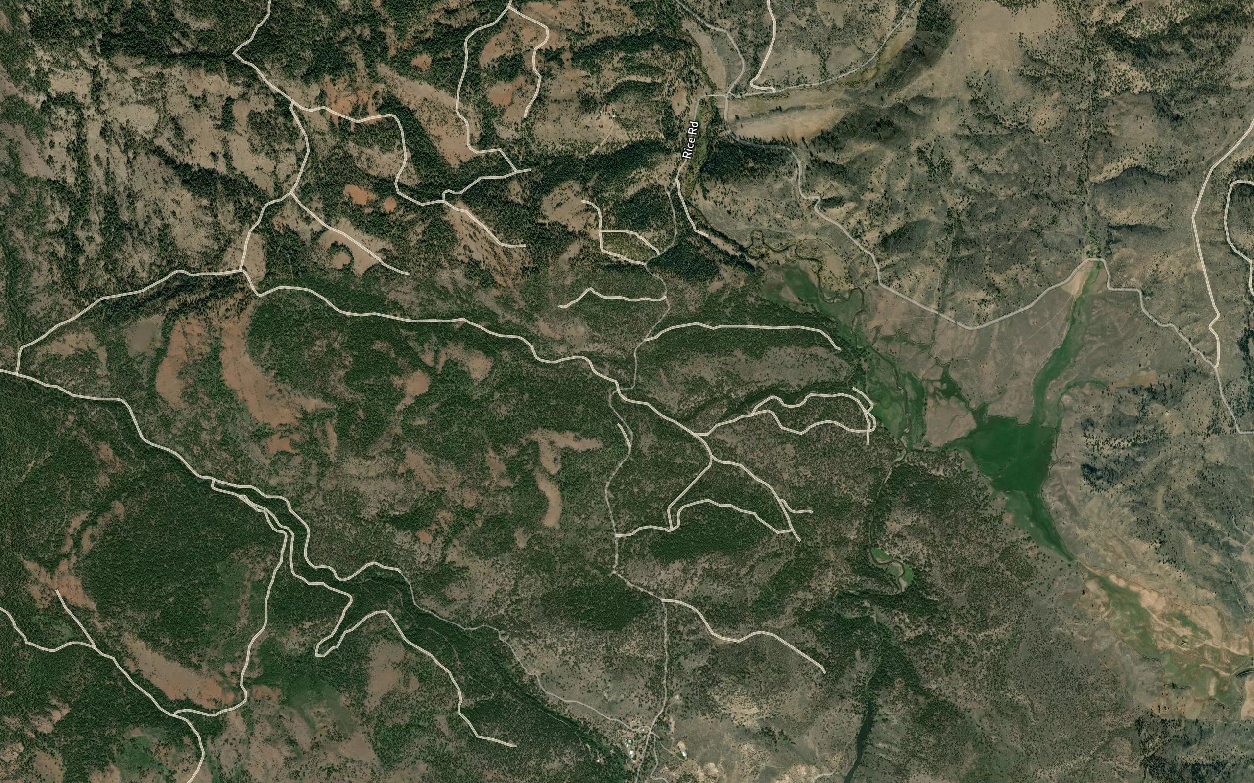 Dooley Gulch Pond